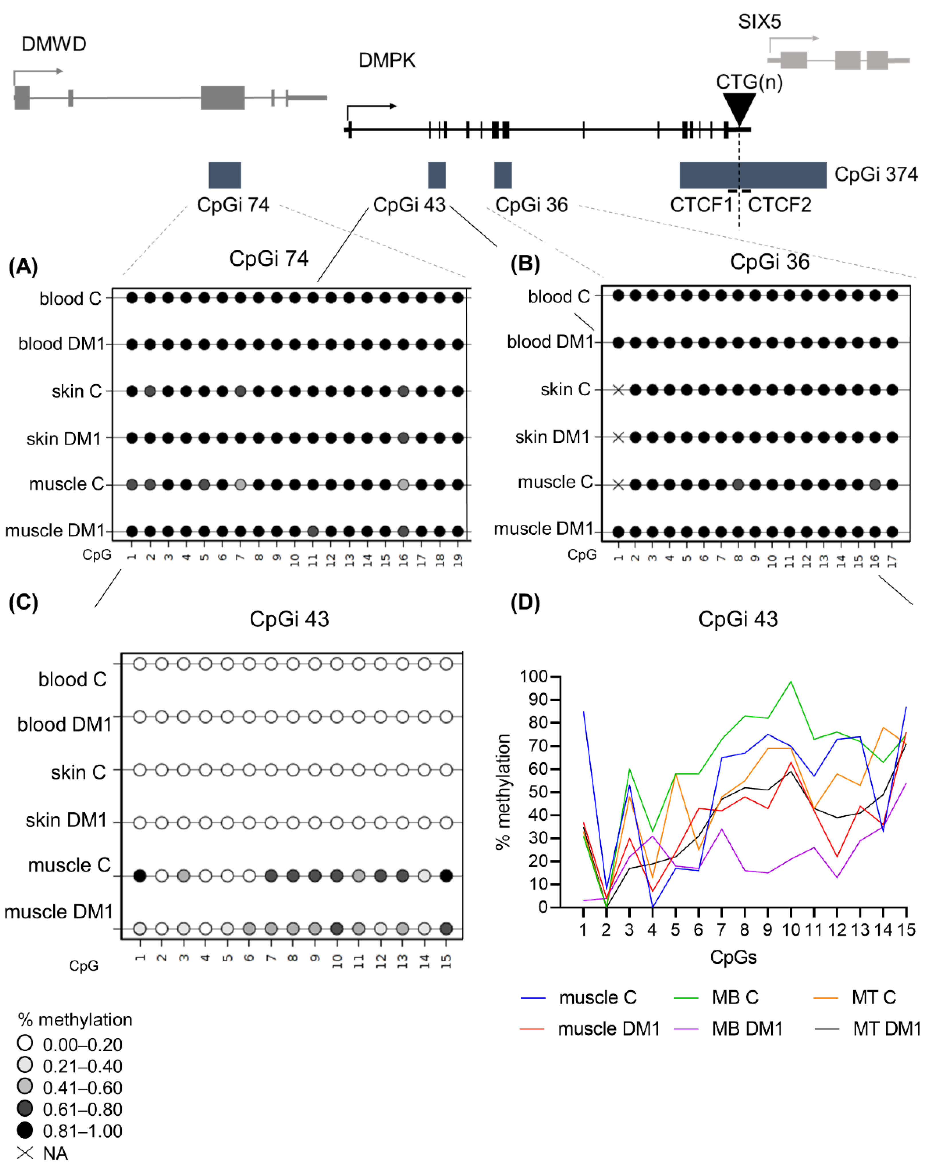 Biomedicines 10 01372 g004 Biomedicines 10 01372 g004