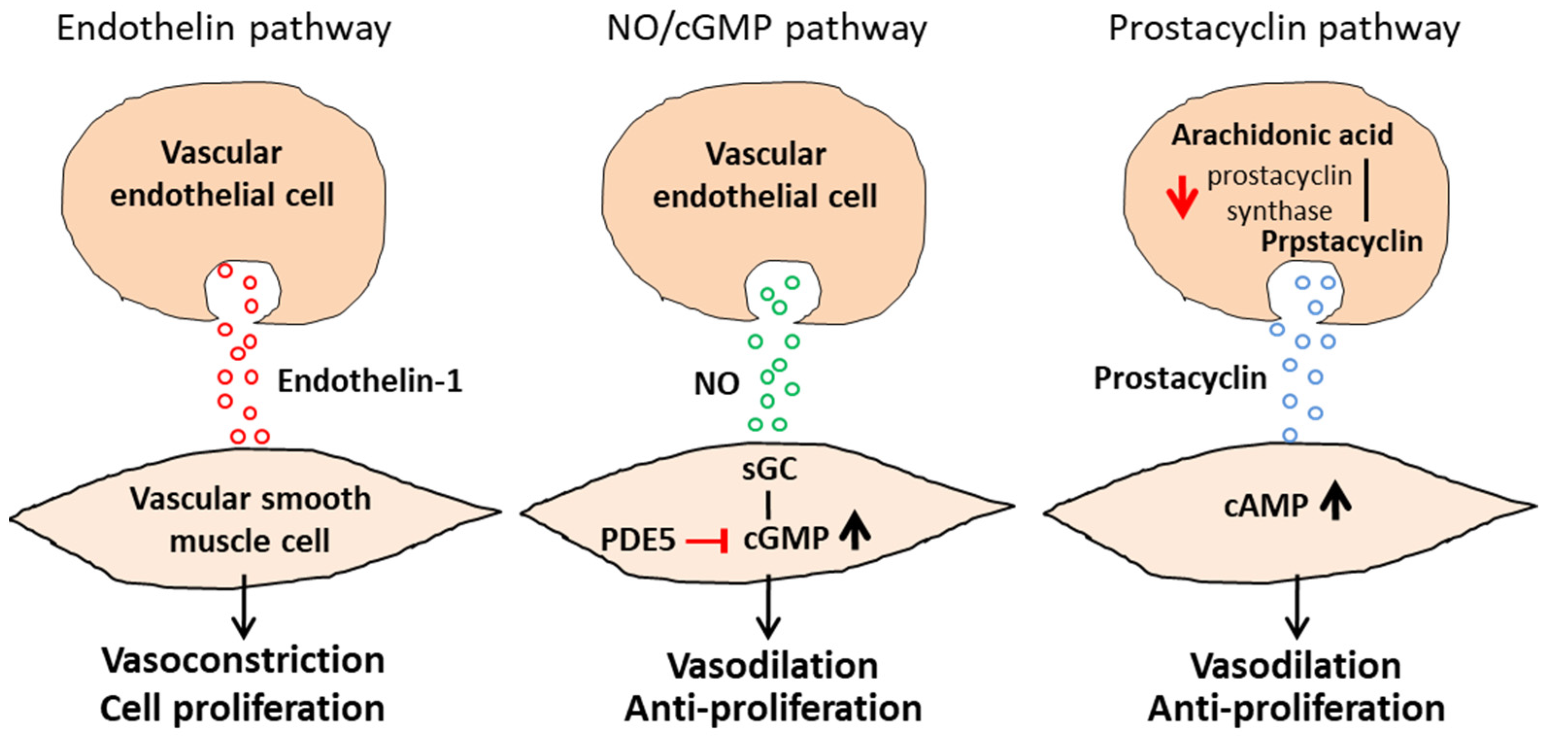 Biomedicines 10 01415 g001