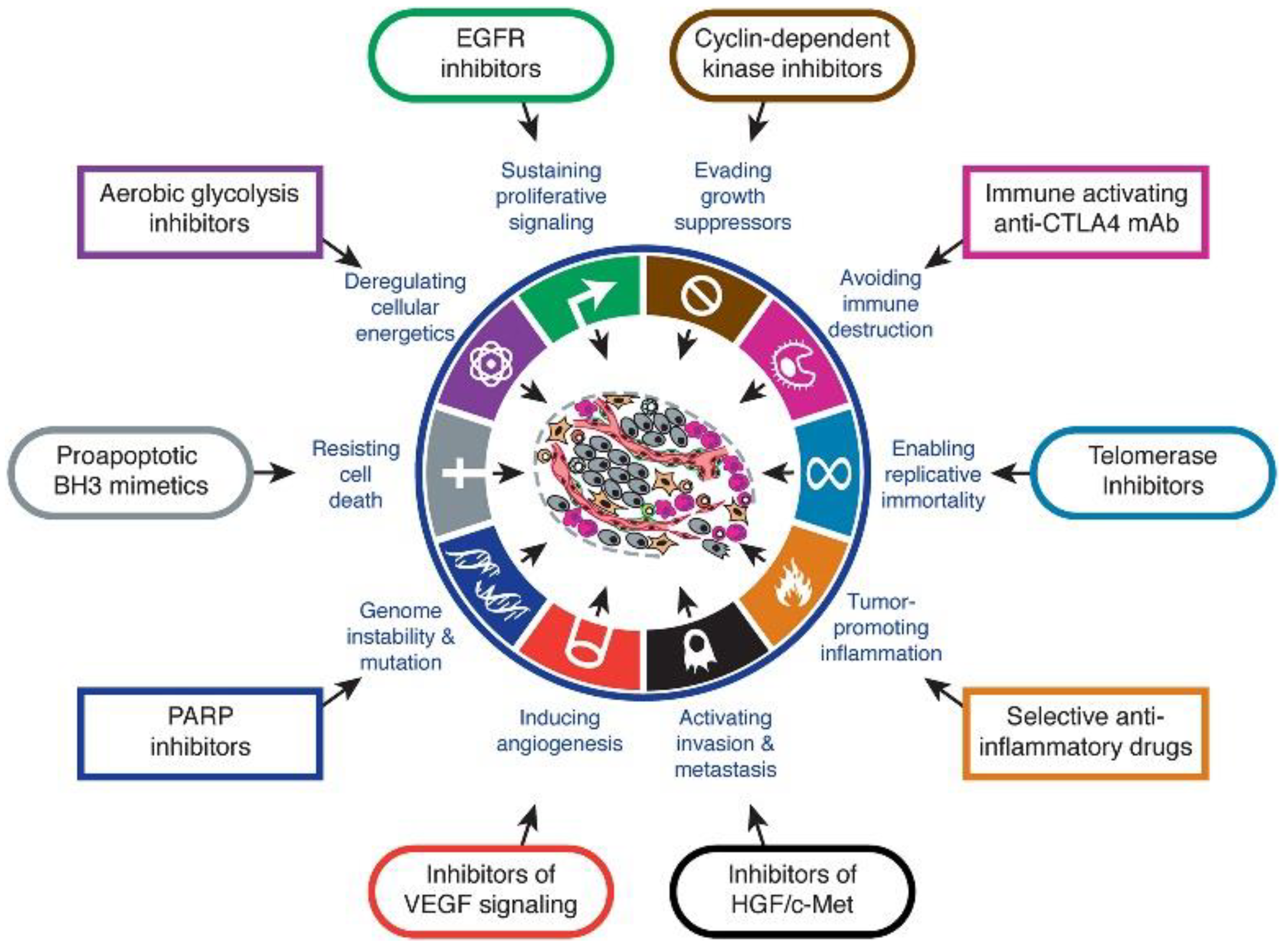 Biomedicines 10 01417 g004