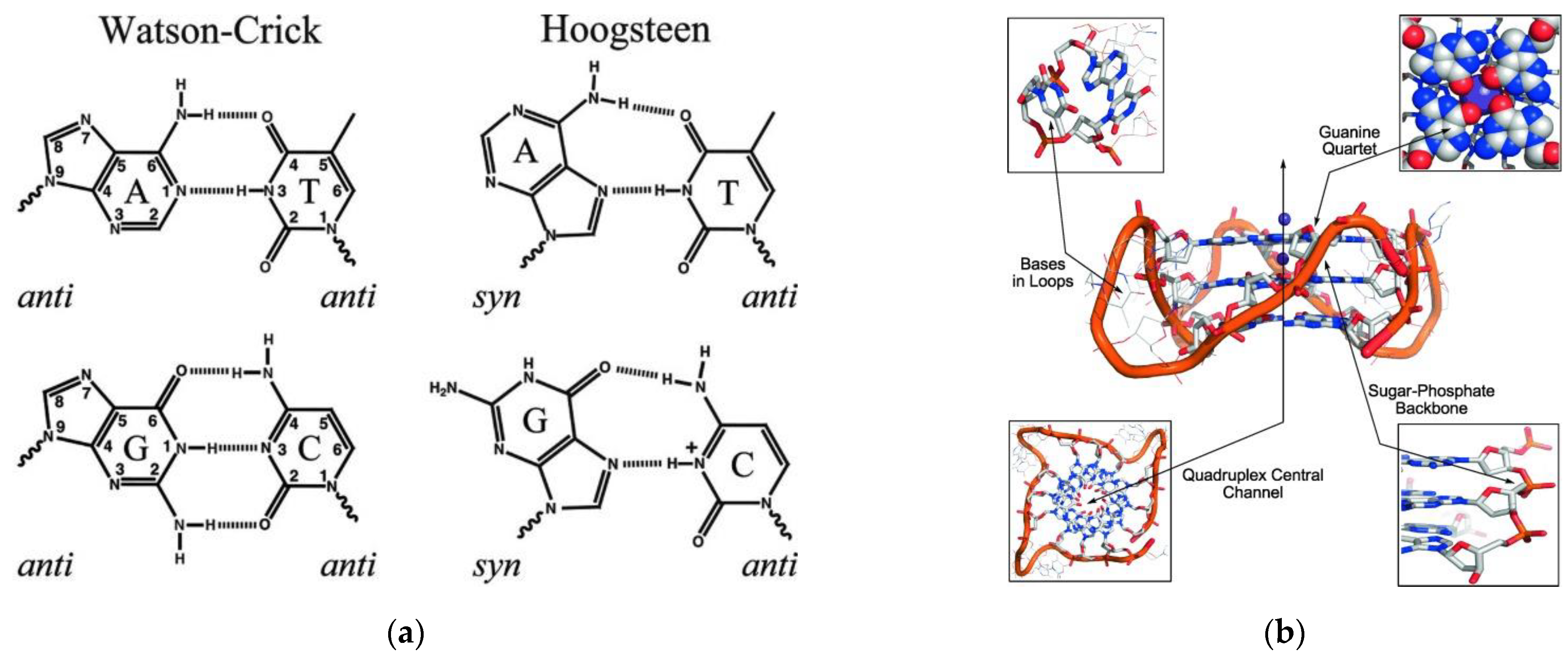 Biomedicines 10 01417 g005