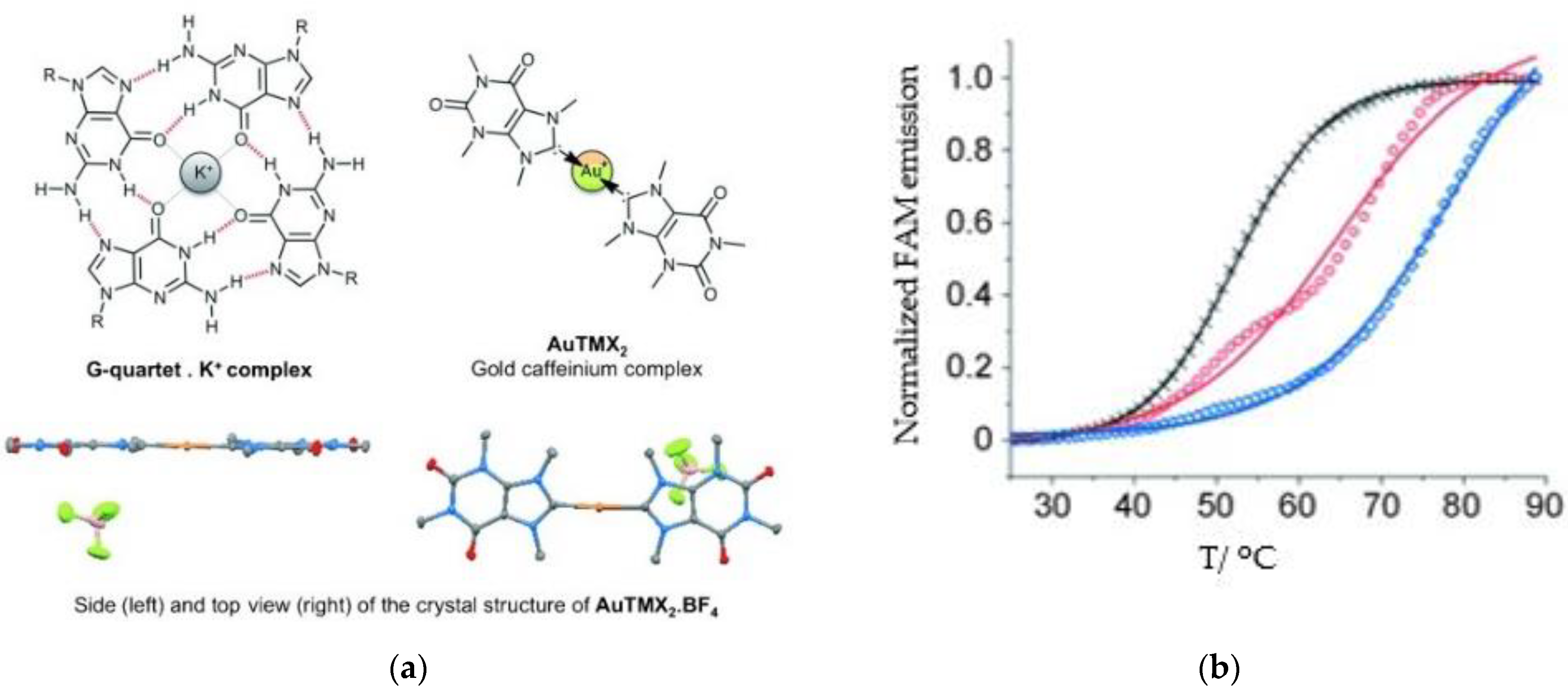 Biomedicines 10 01417 g011