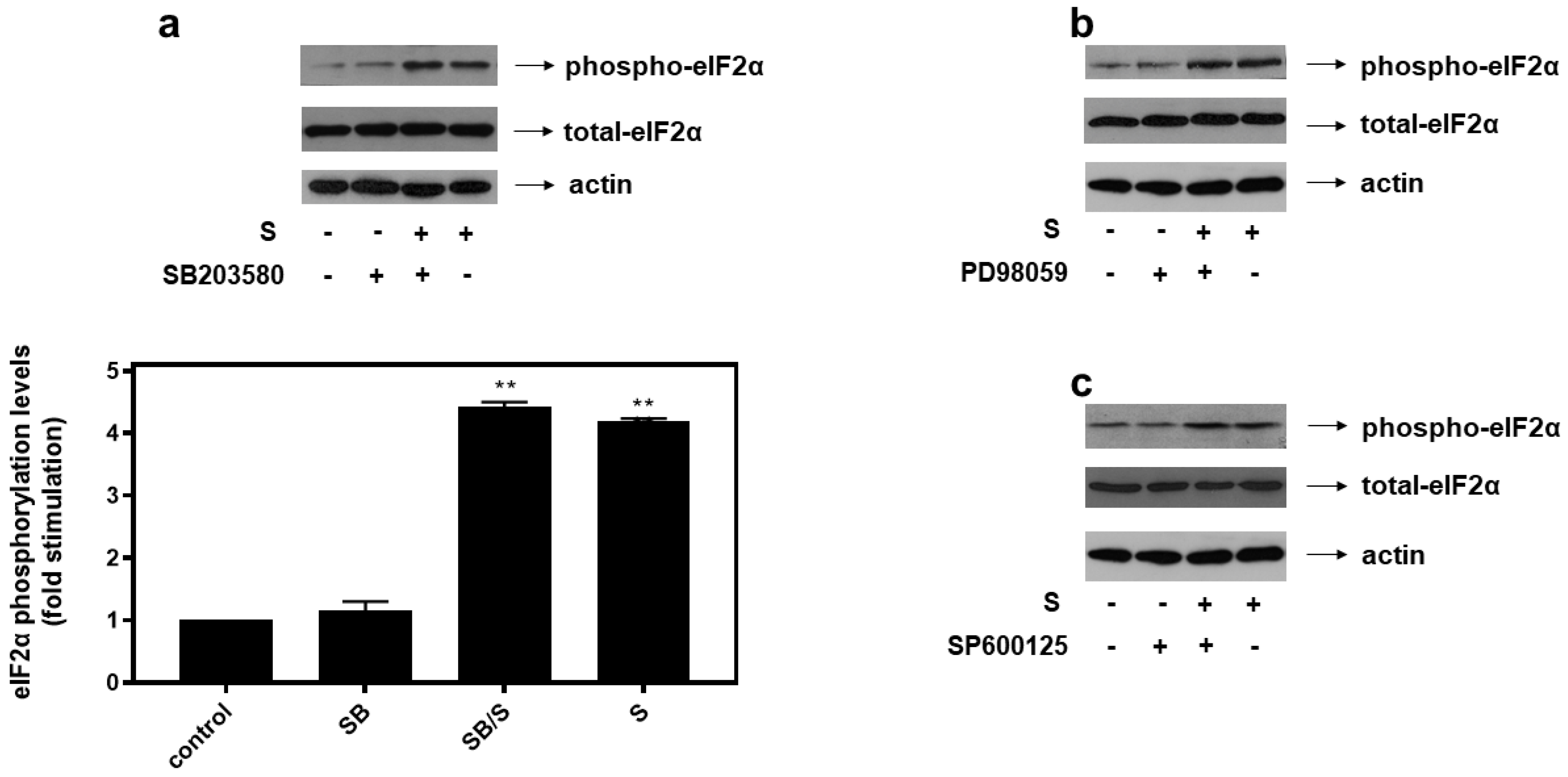 Biomedicines 10 01421 g006