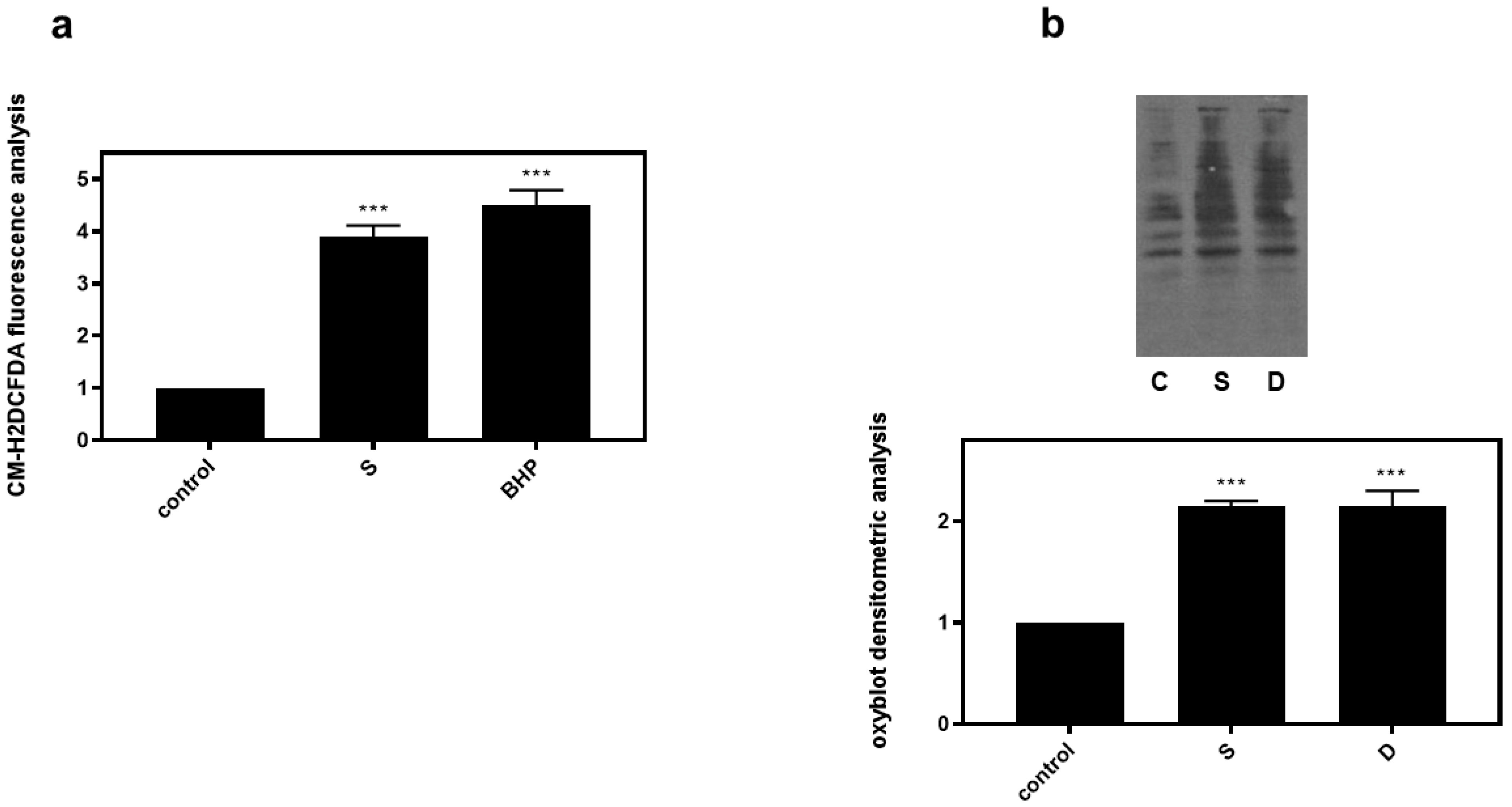 Biomedicines 10 01421 g007