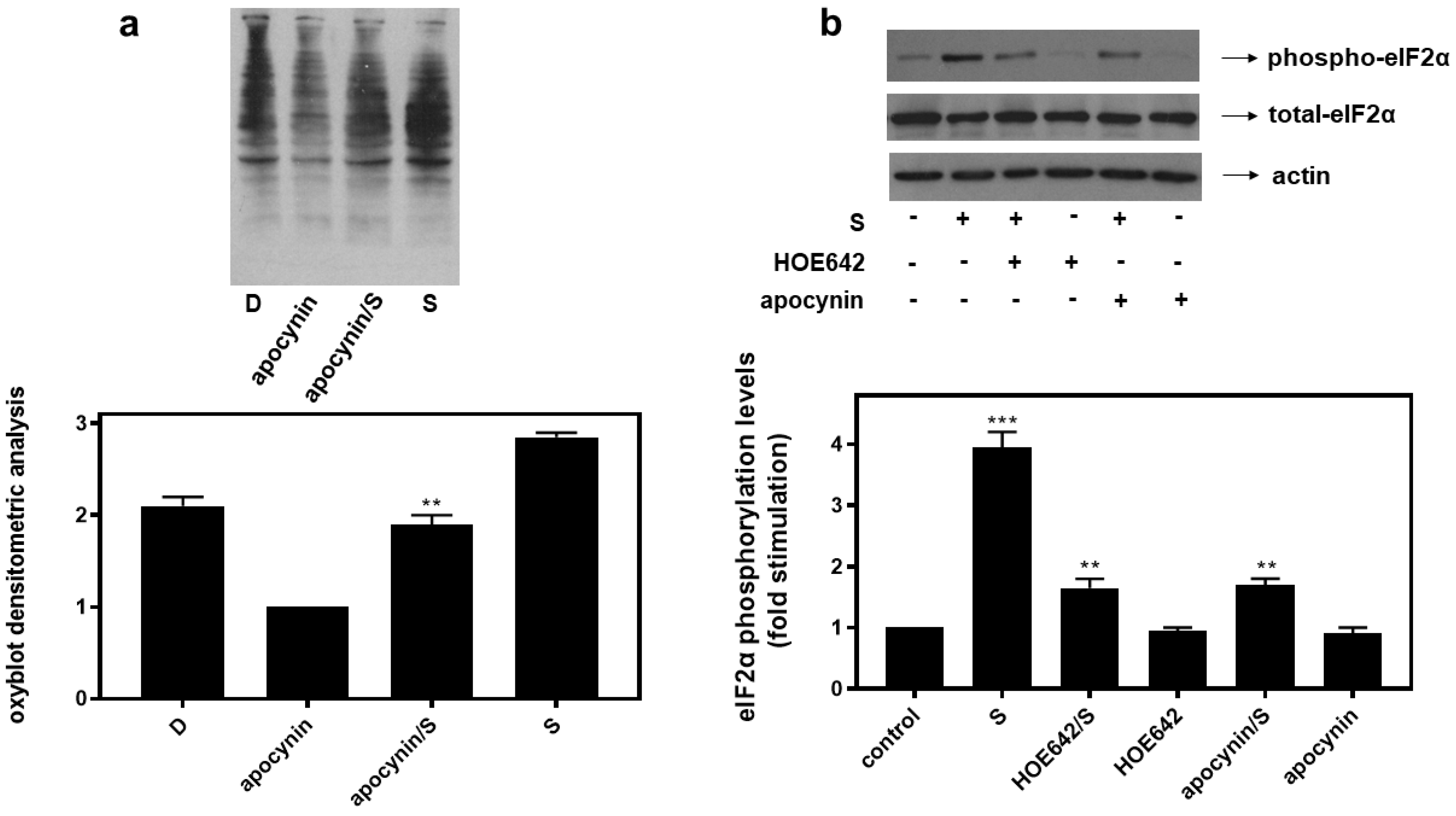 Biomedicines 10 01421 g008