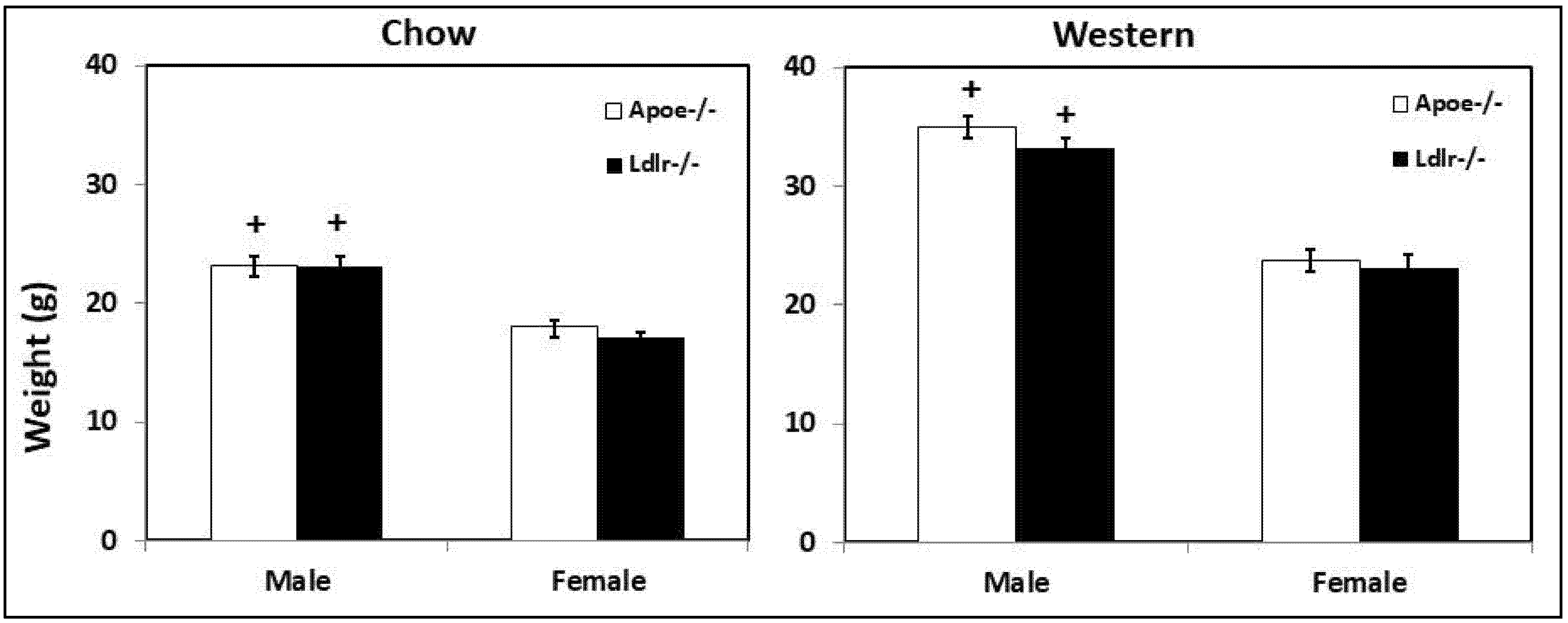 Biomedicines 10 01429 g007 Biomedicines 10 01429 g007