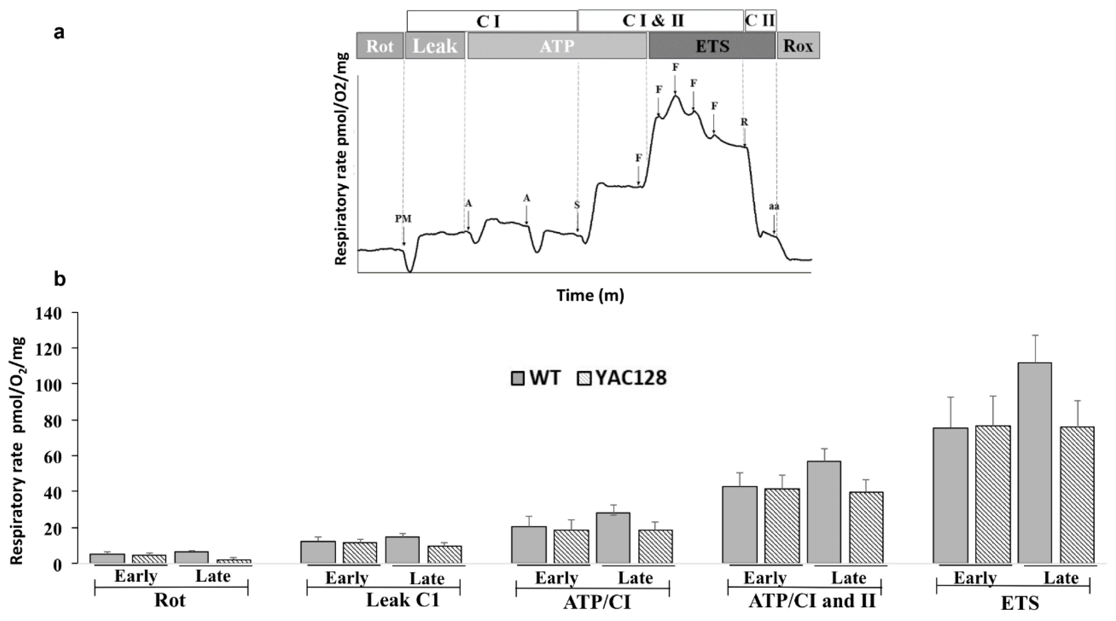 Biomedicines 10 01433 g004 Biomedicines 10 01433 g004