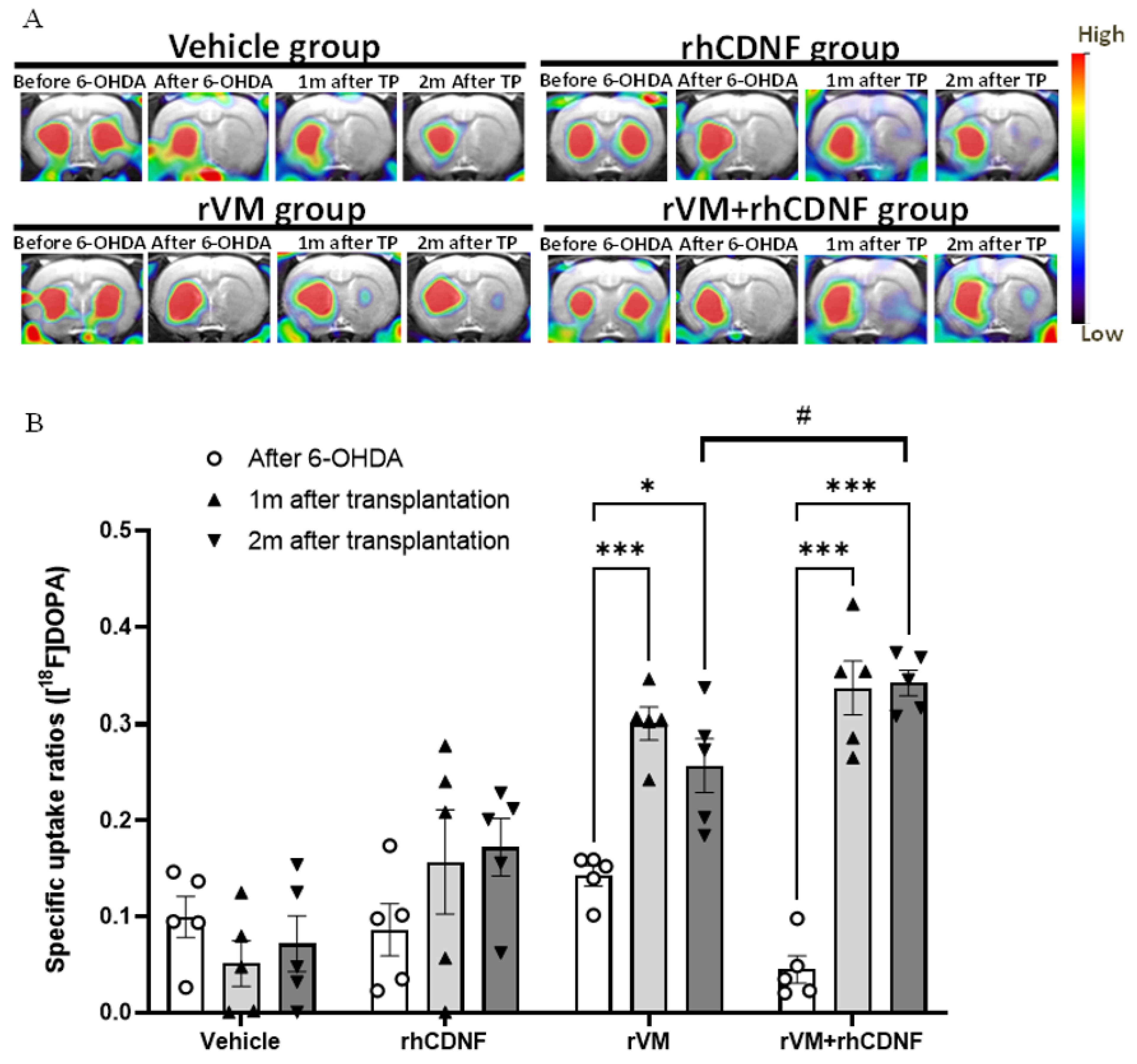 Biomedicines 10 01446 g002
