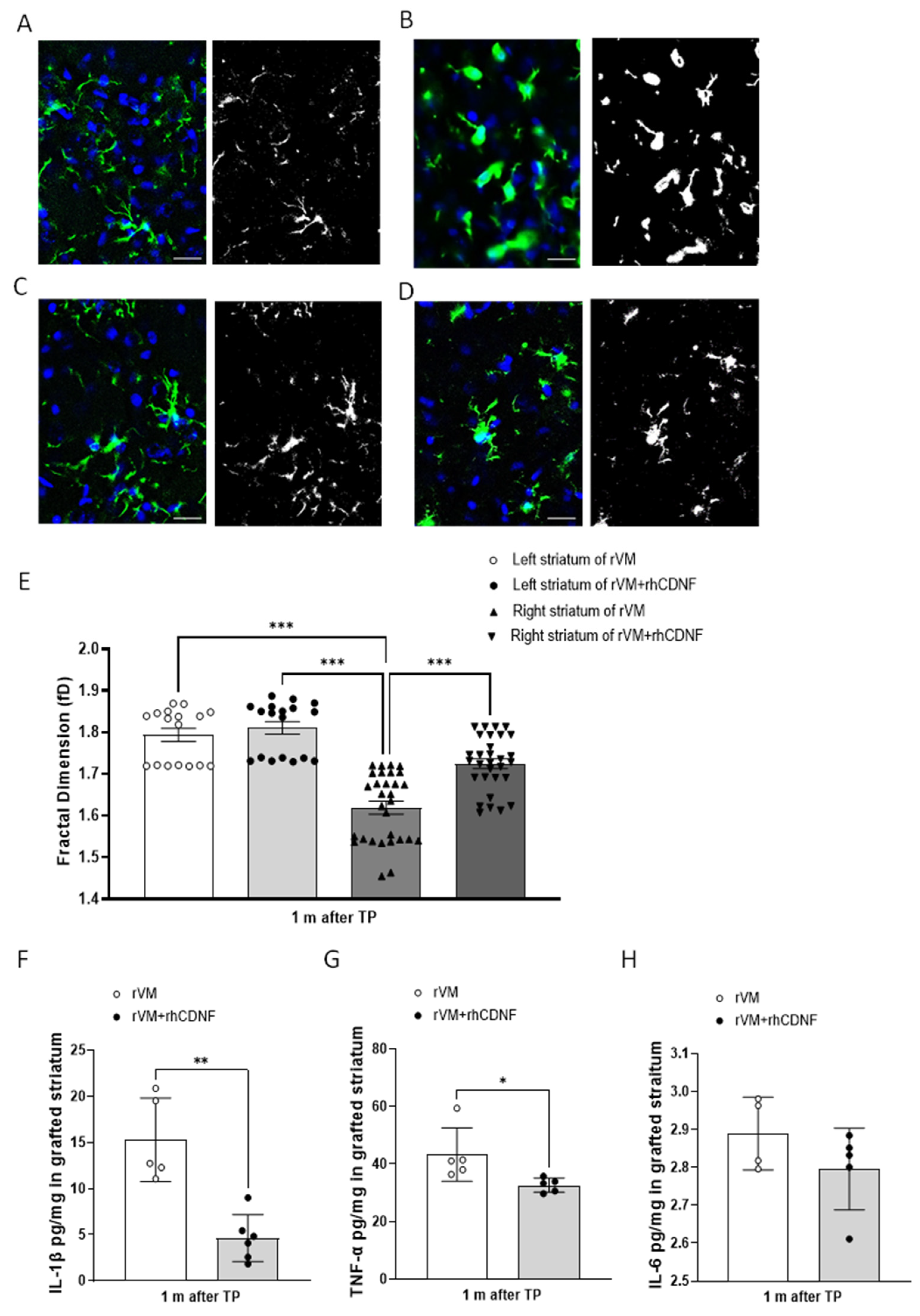 Biomedicines 10 01446 g008