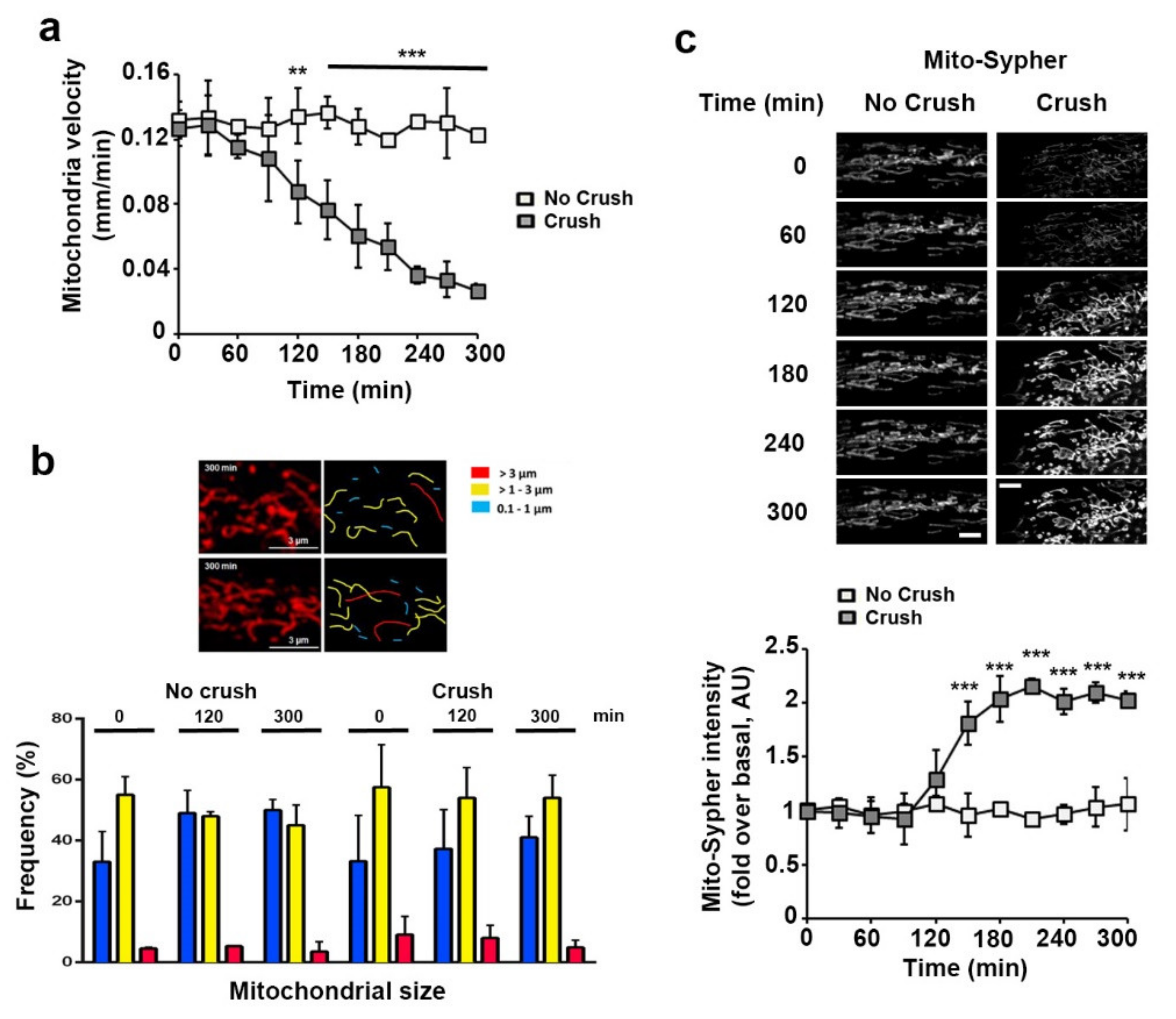 Biomedicines 10 01447 g002 Biomedicines 10 01447 g002