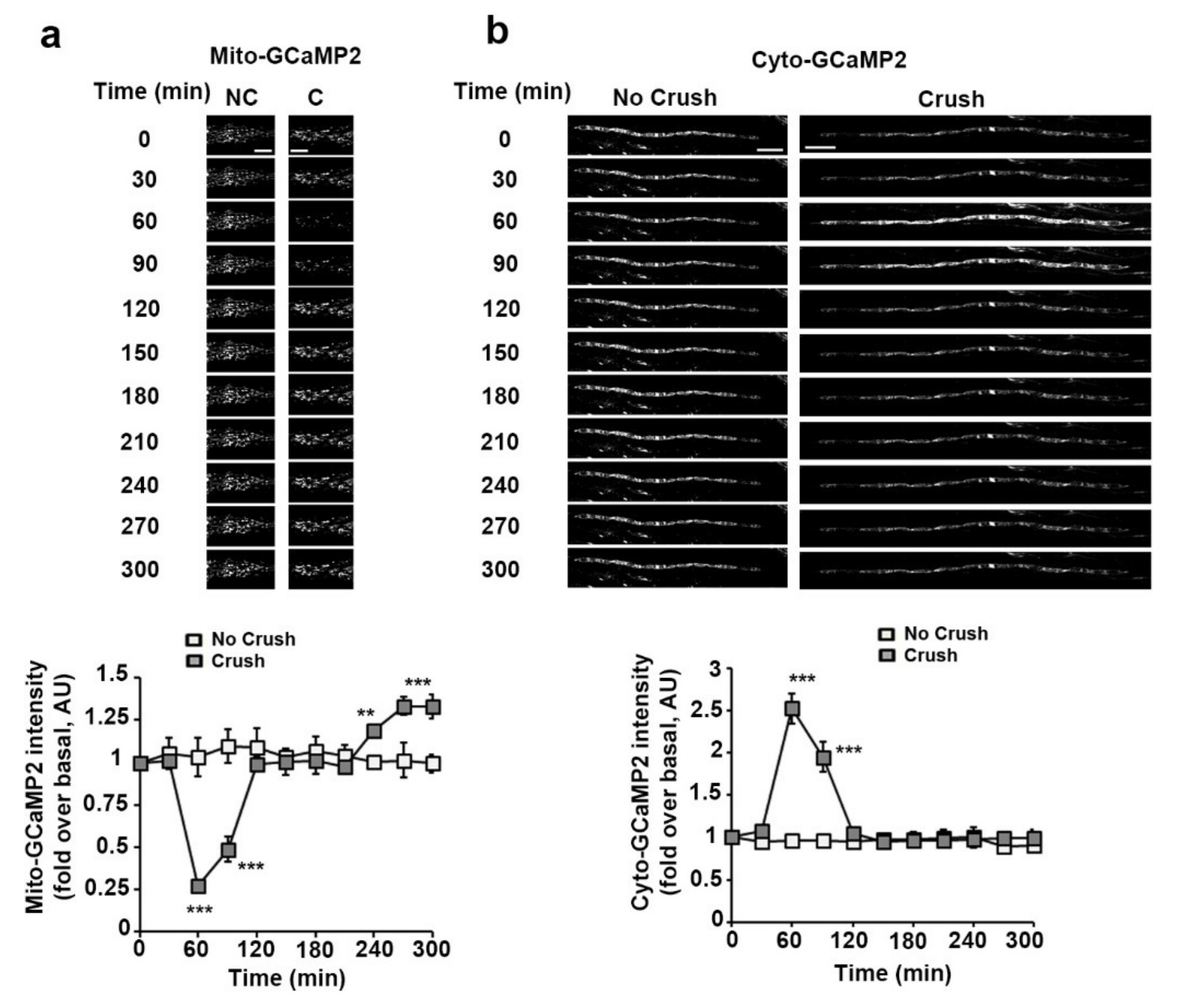 Biomedicines 10 01447 g003 Biomedicines 10 01447 g003