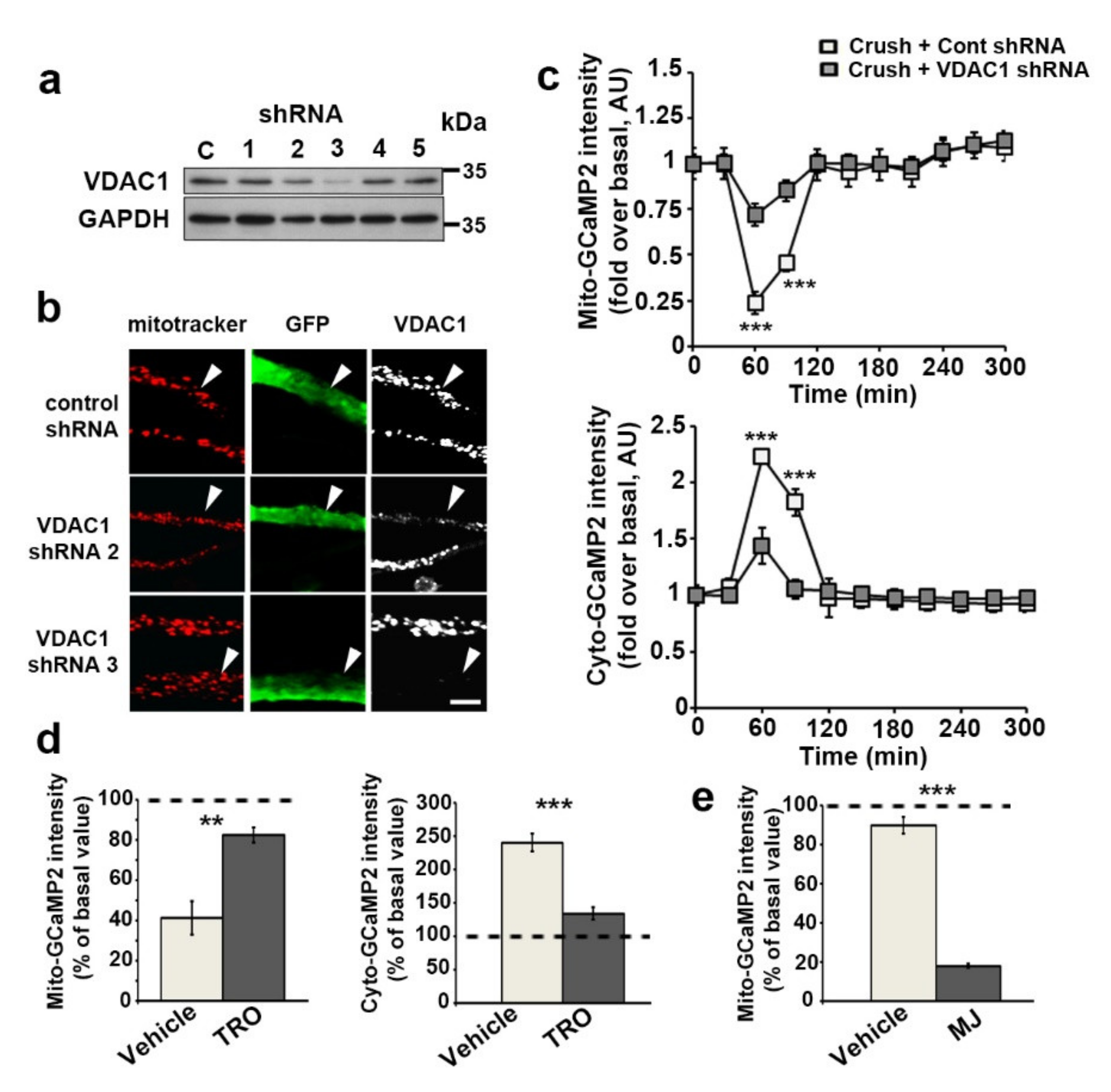 Biomedicines 10 01447 g004 Biomedicines 10 01447 g004