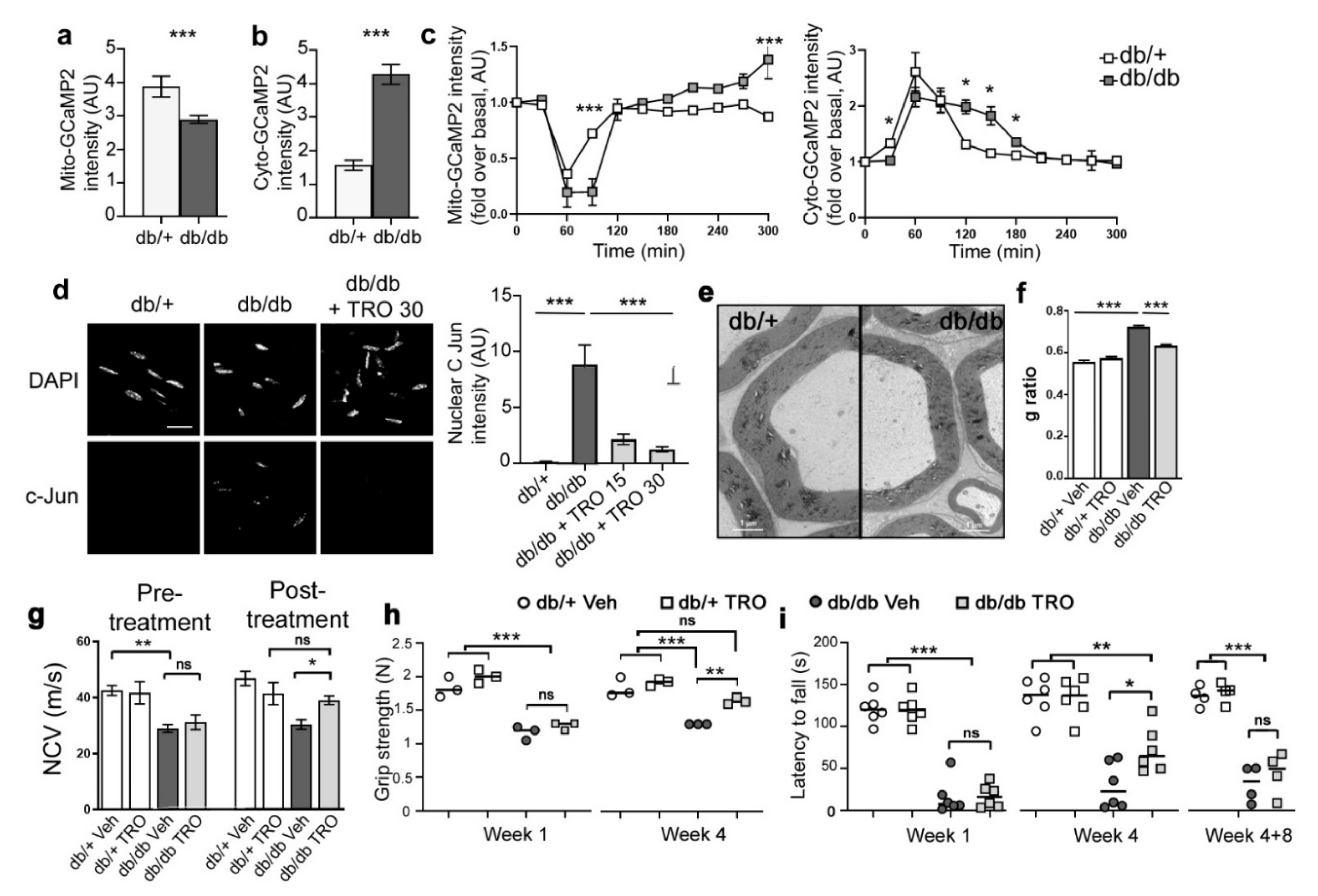 Biomedicines 10 01447 g007 Biomedicines 10 01447 g007
