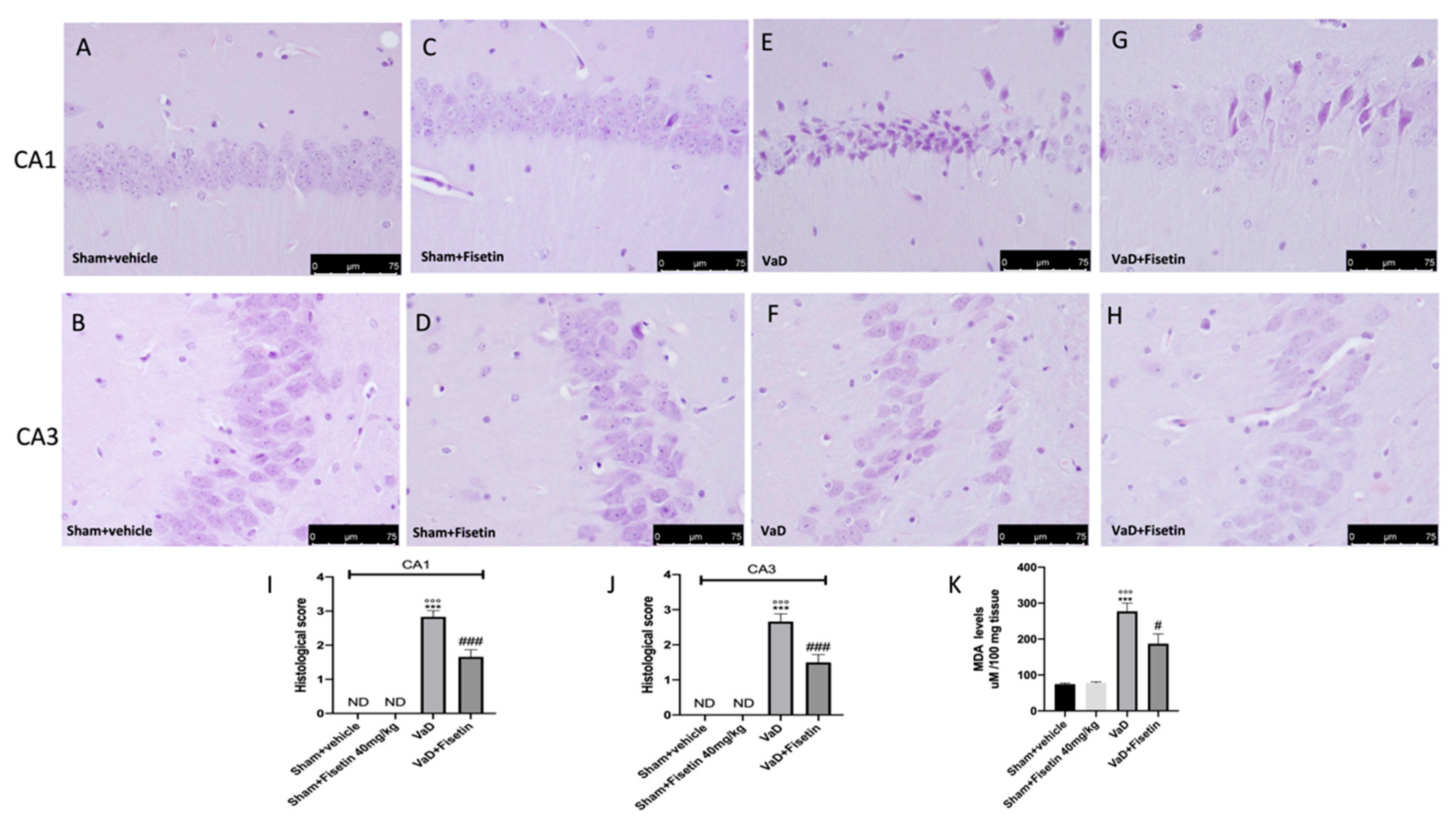 Biomedicines 10 01448 g003 Biomedicines 10 01448 g003