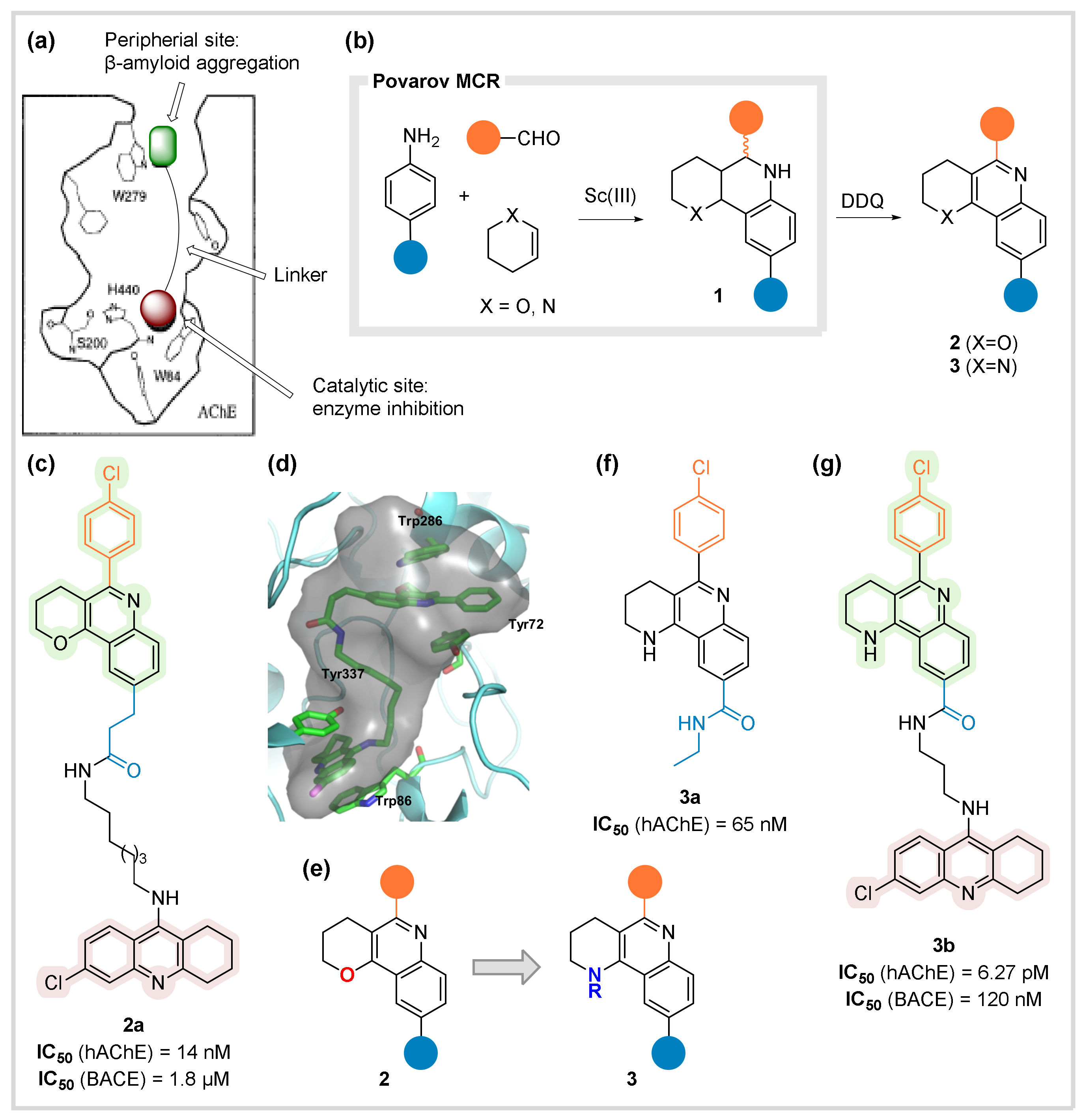 Biomedicines 10 01488 g002 Biomedicines 10 01488 g002