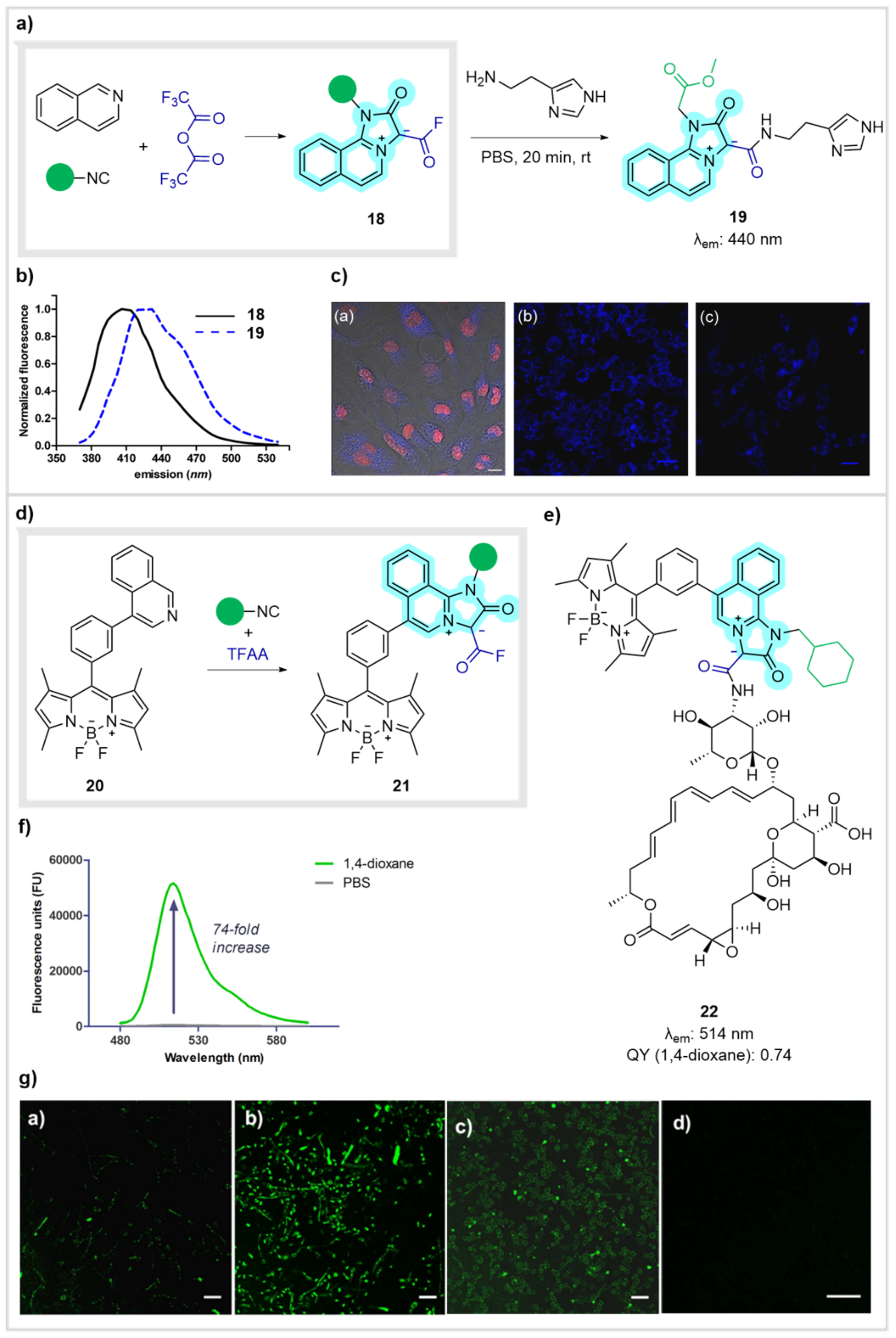 Biomedicines 10 01488 g008 Biomedicines 10 01488 g008
