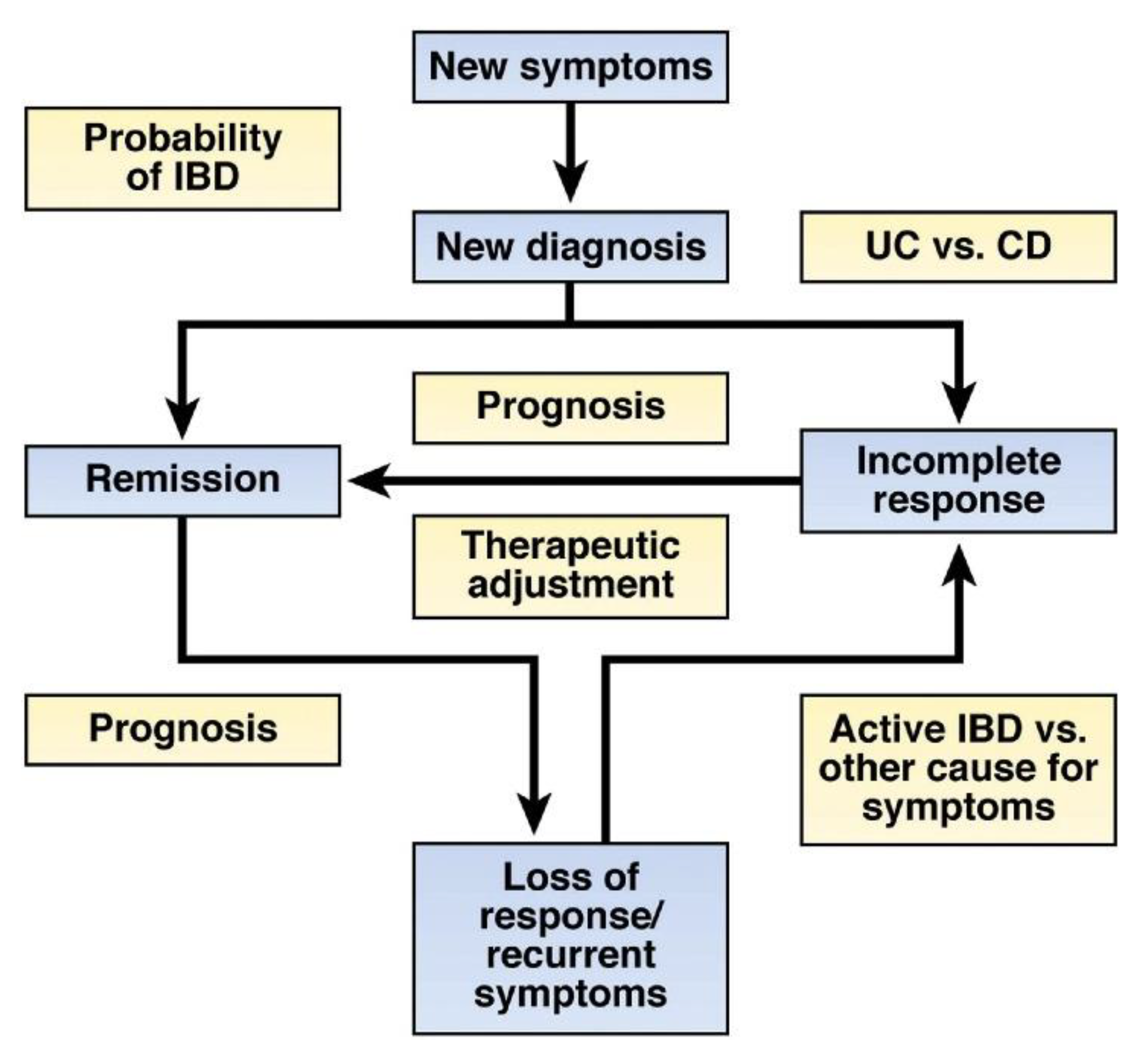Biomedicines 10 01492 g001 Biomedicines 10 01492 g001