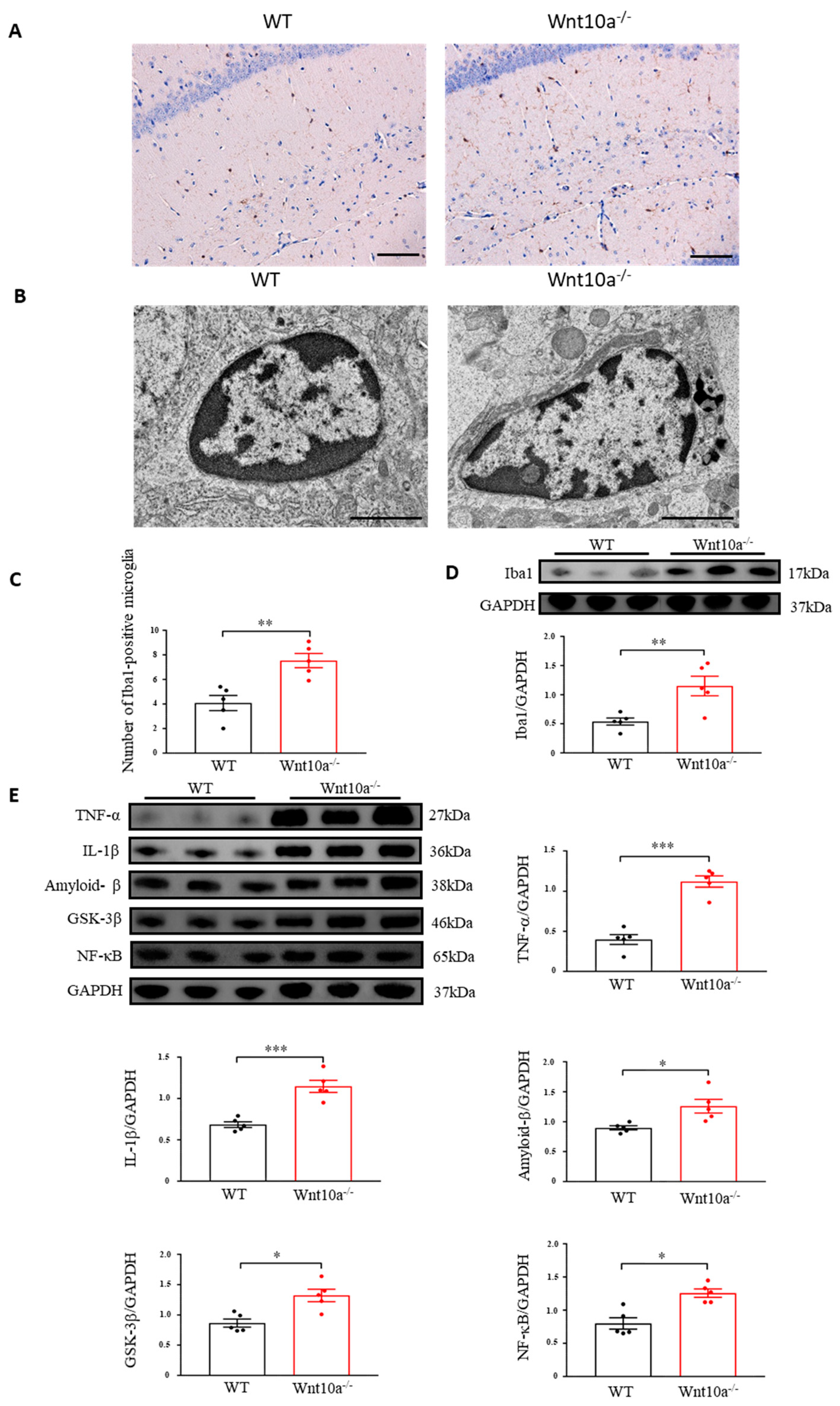 Biomedicines 10 01500 g006