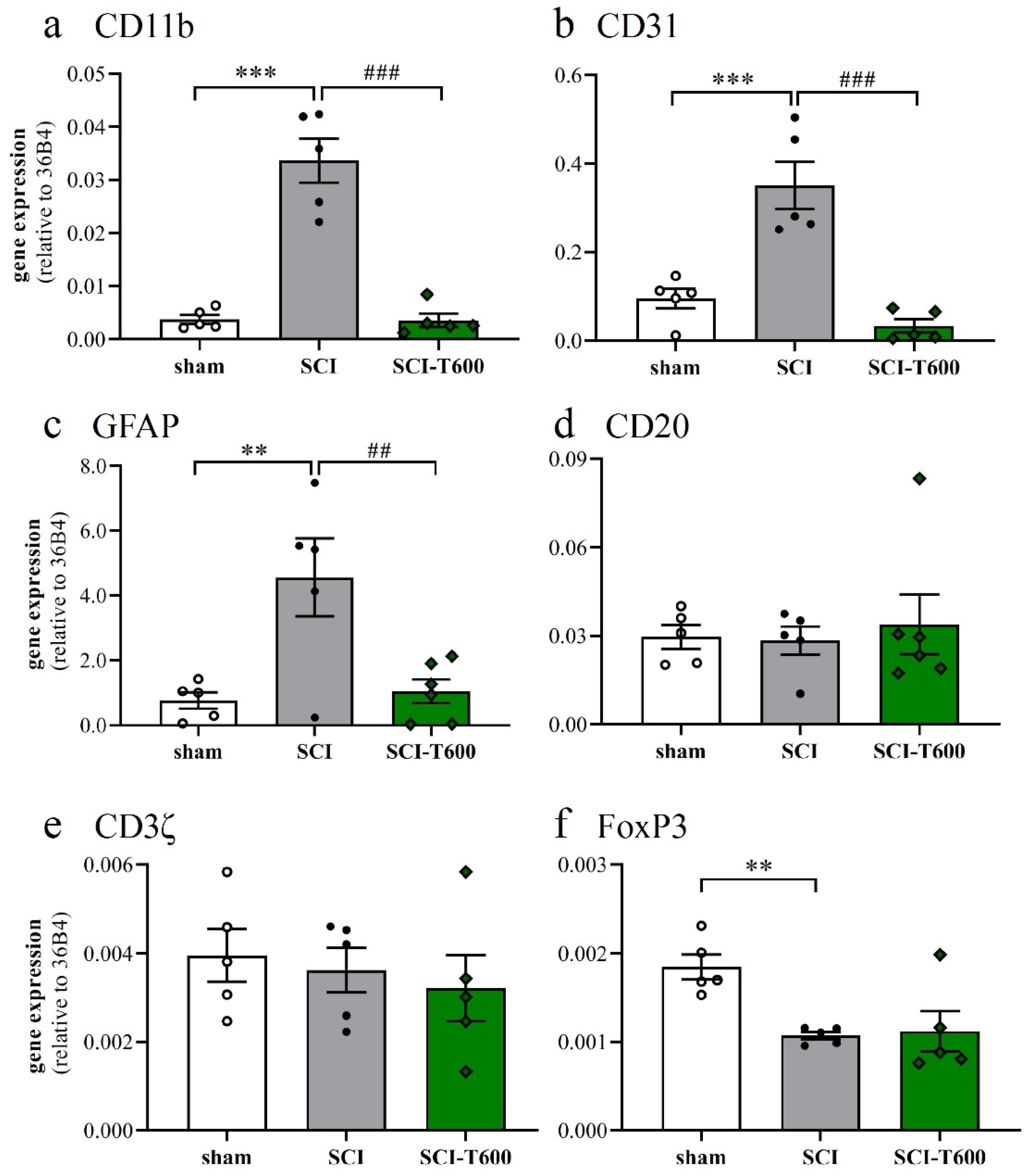 Biomedicines 10 01501 g006