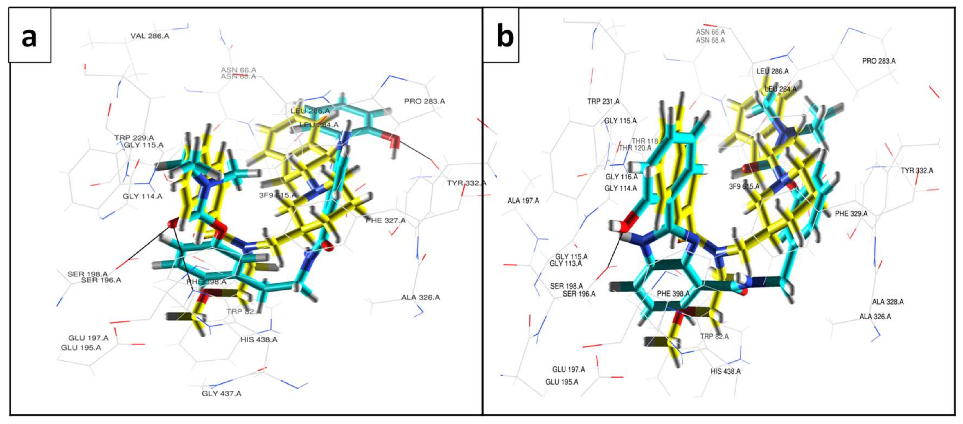 Biomedicines 10 01510 g003