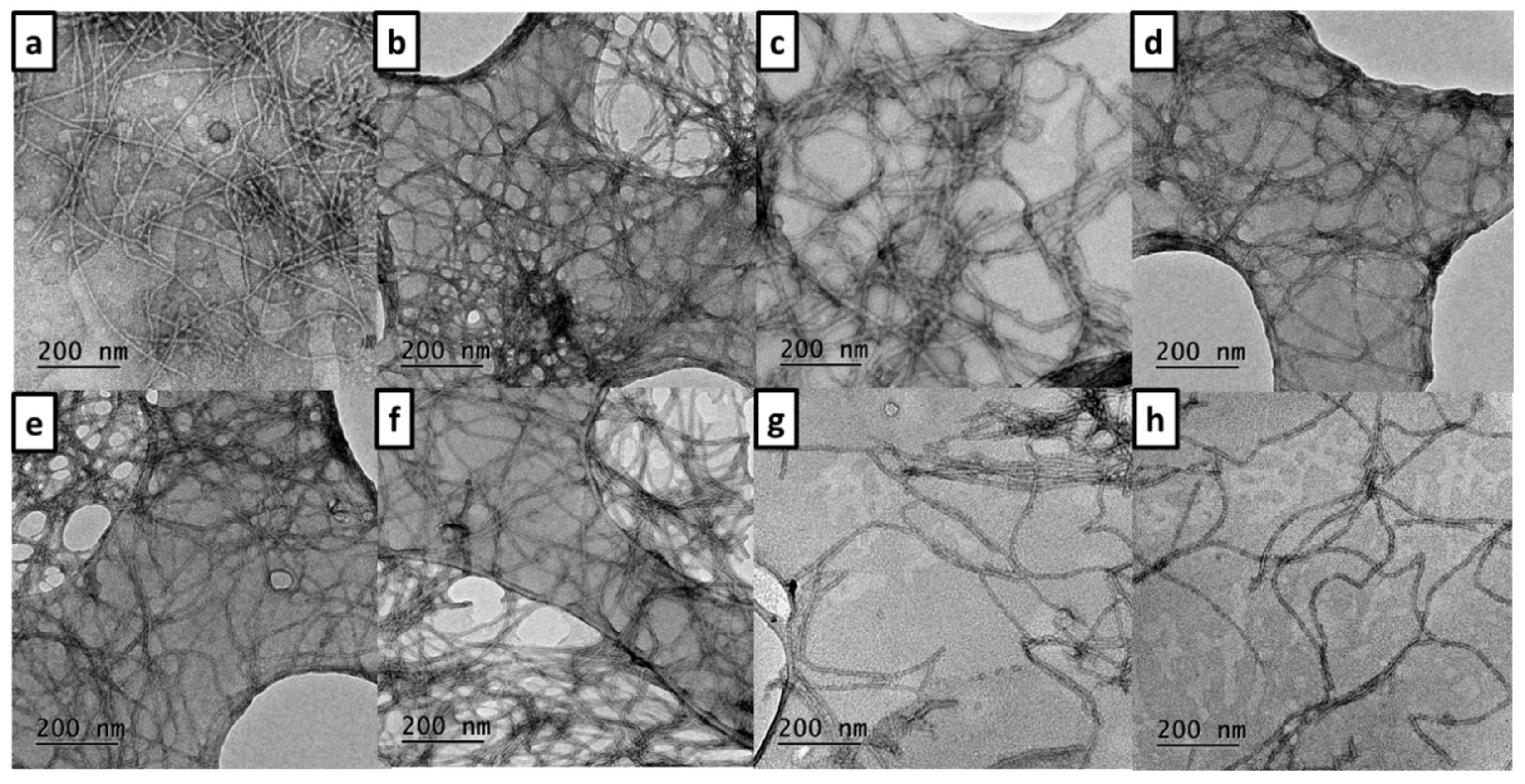 Biomedicines 10 01510 g006