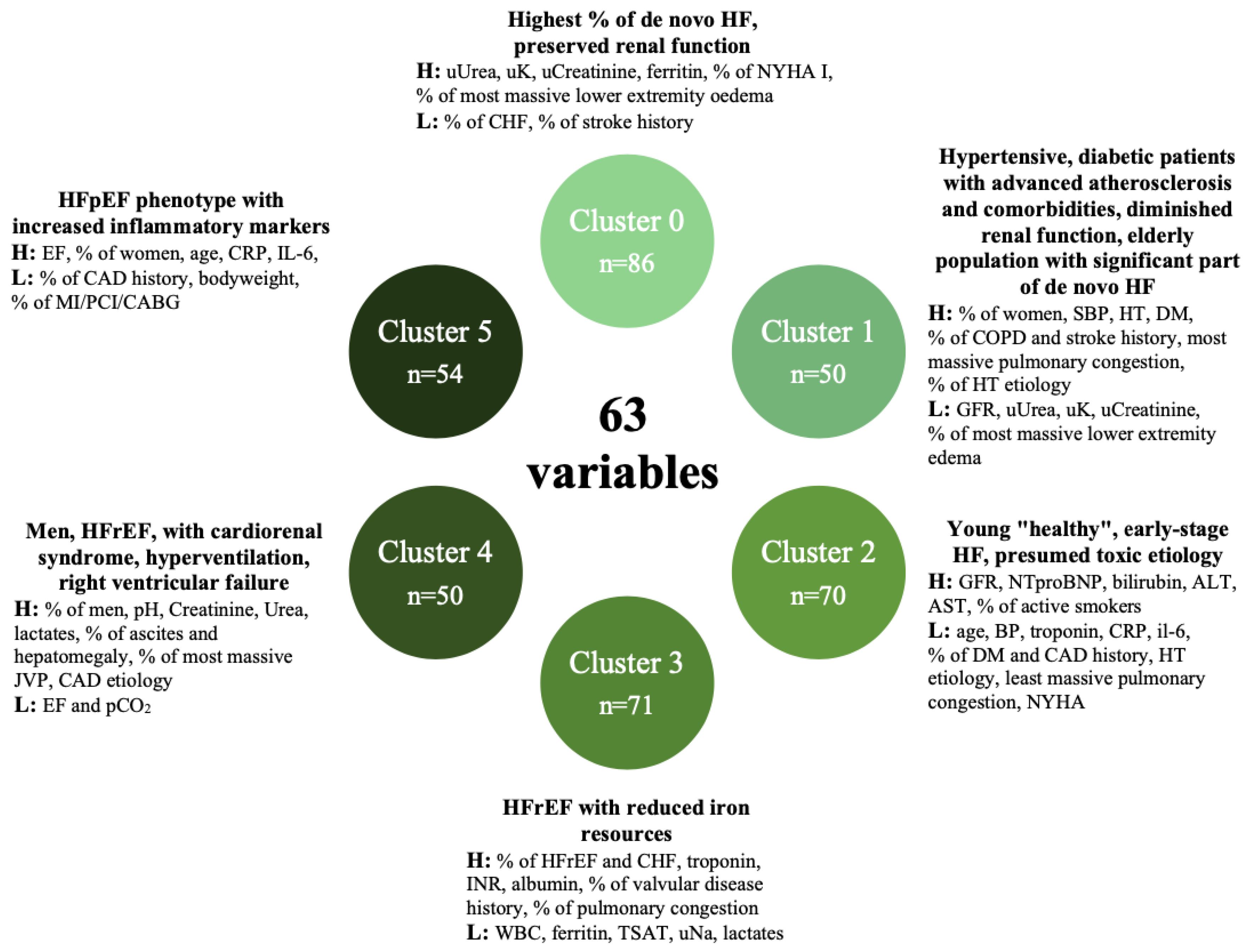 Biomedicines 10 01514 g002