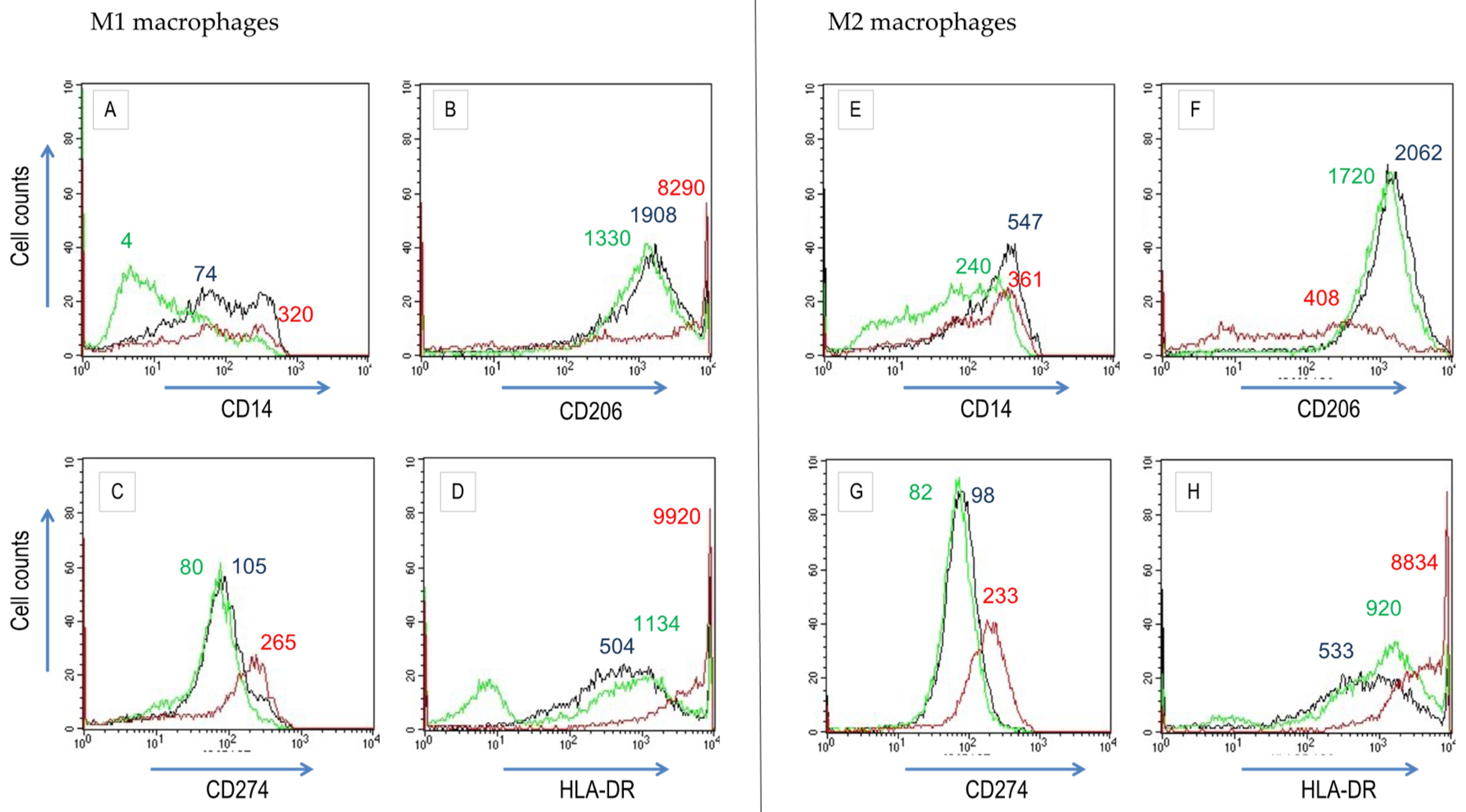 Biomedicines 10 01524 g004