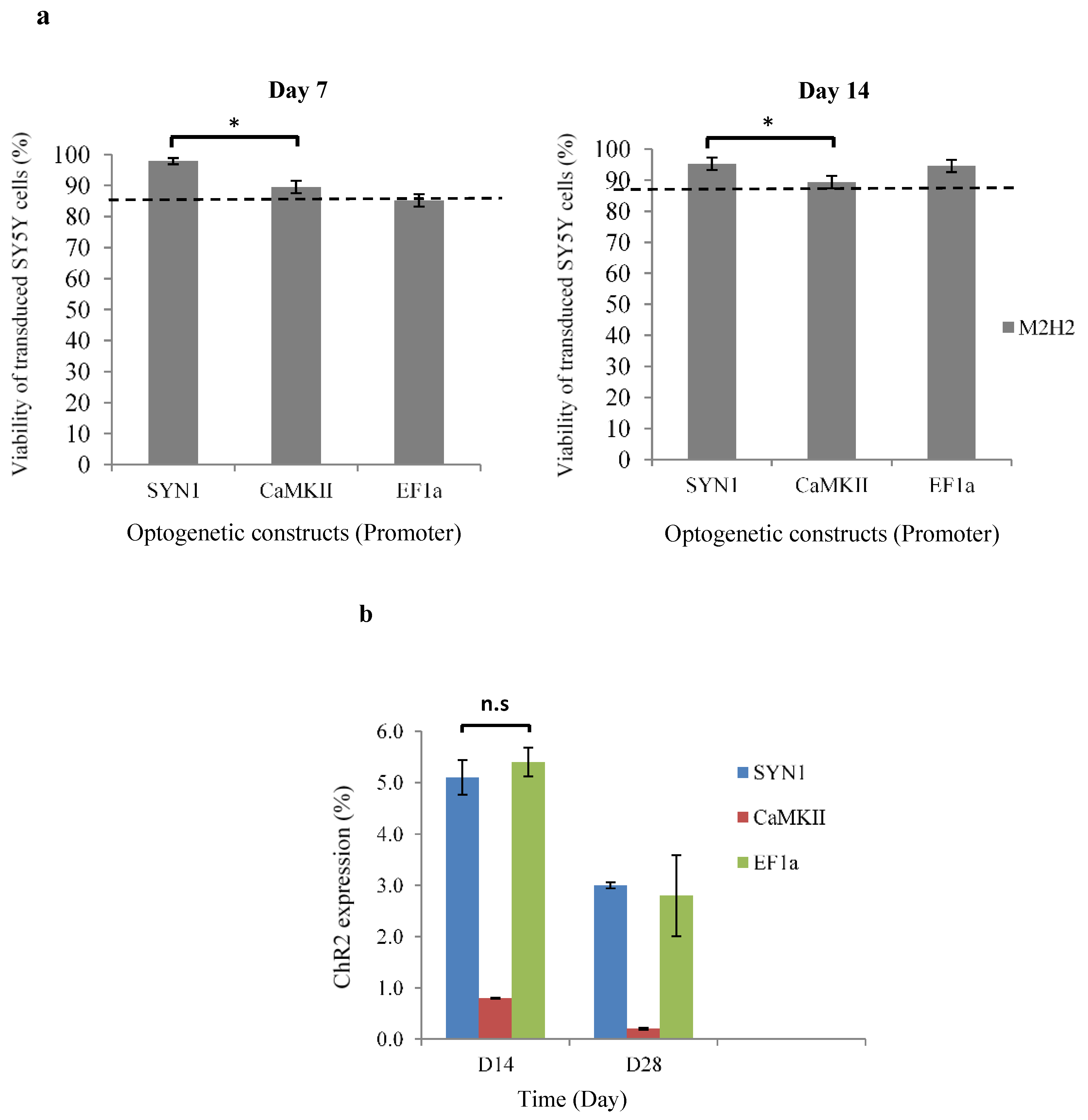 Biomedicines 10 01534 g002a