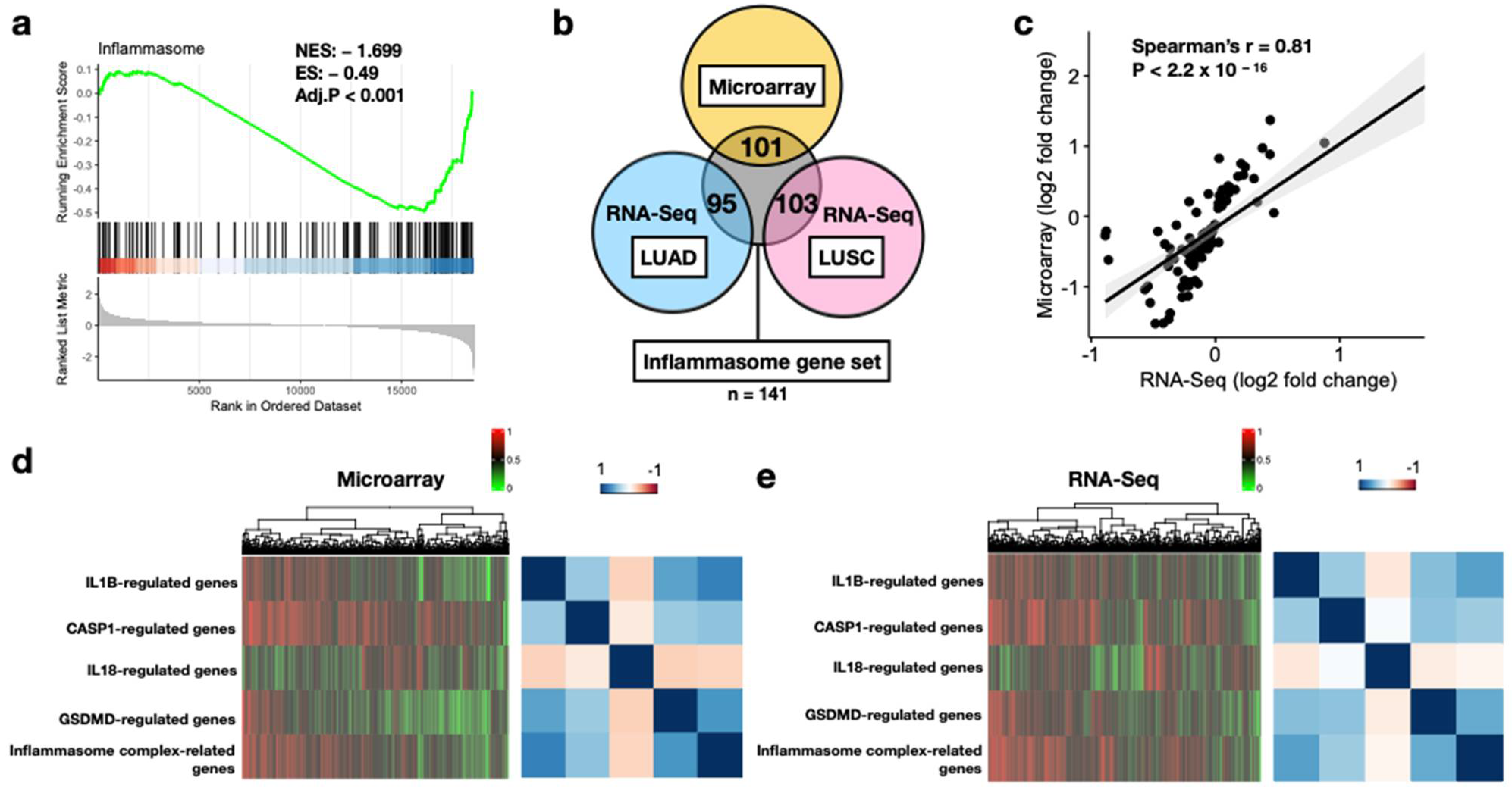 Biomedicines 10 01539 g002