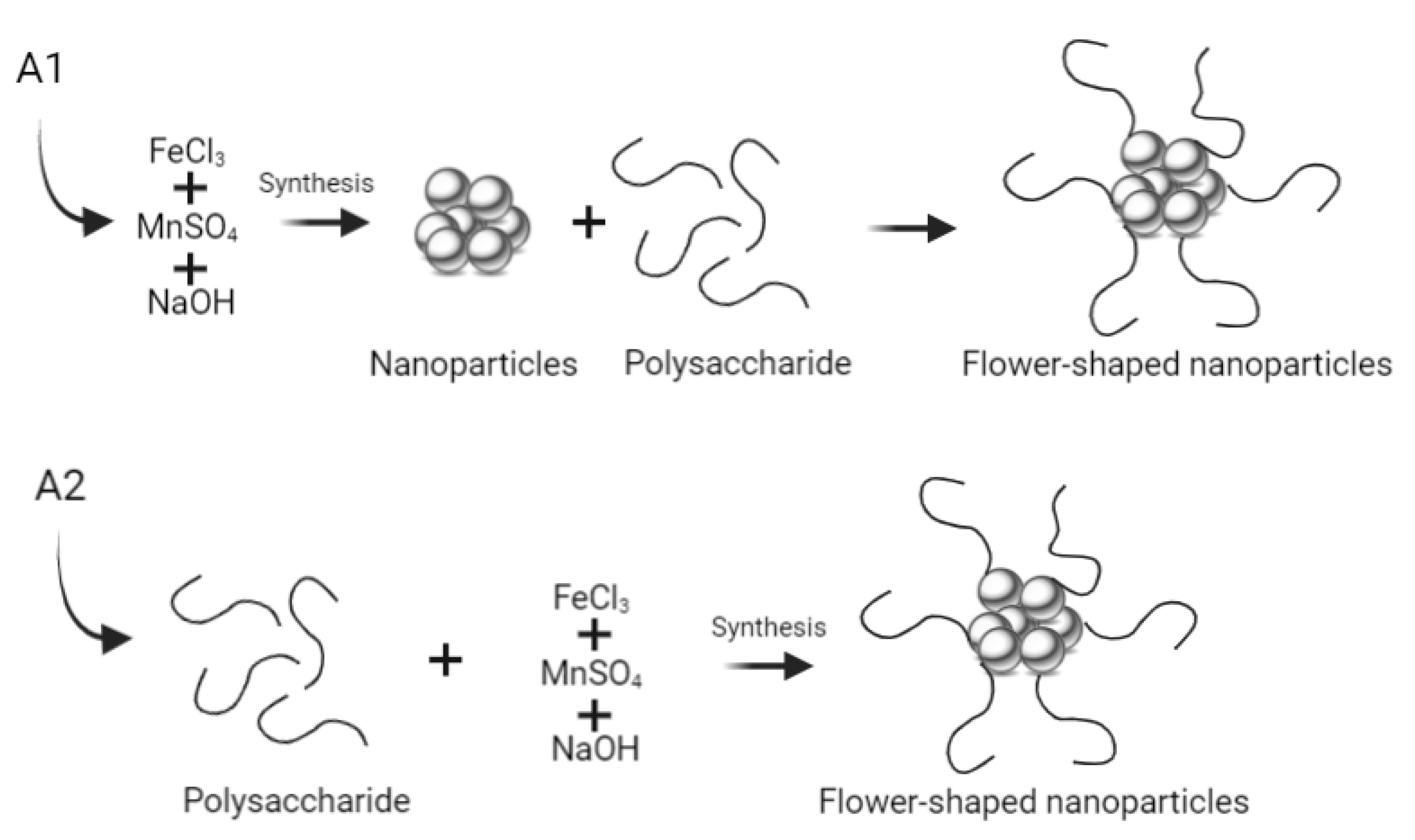 Biomedicines 10 01547 g002