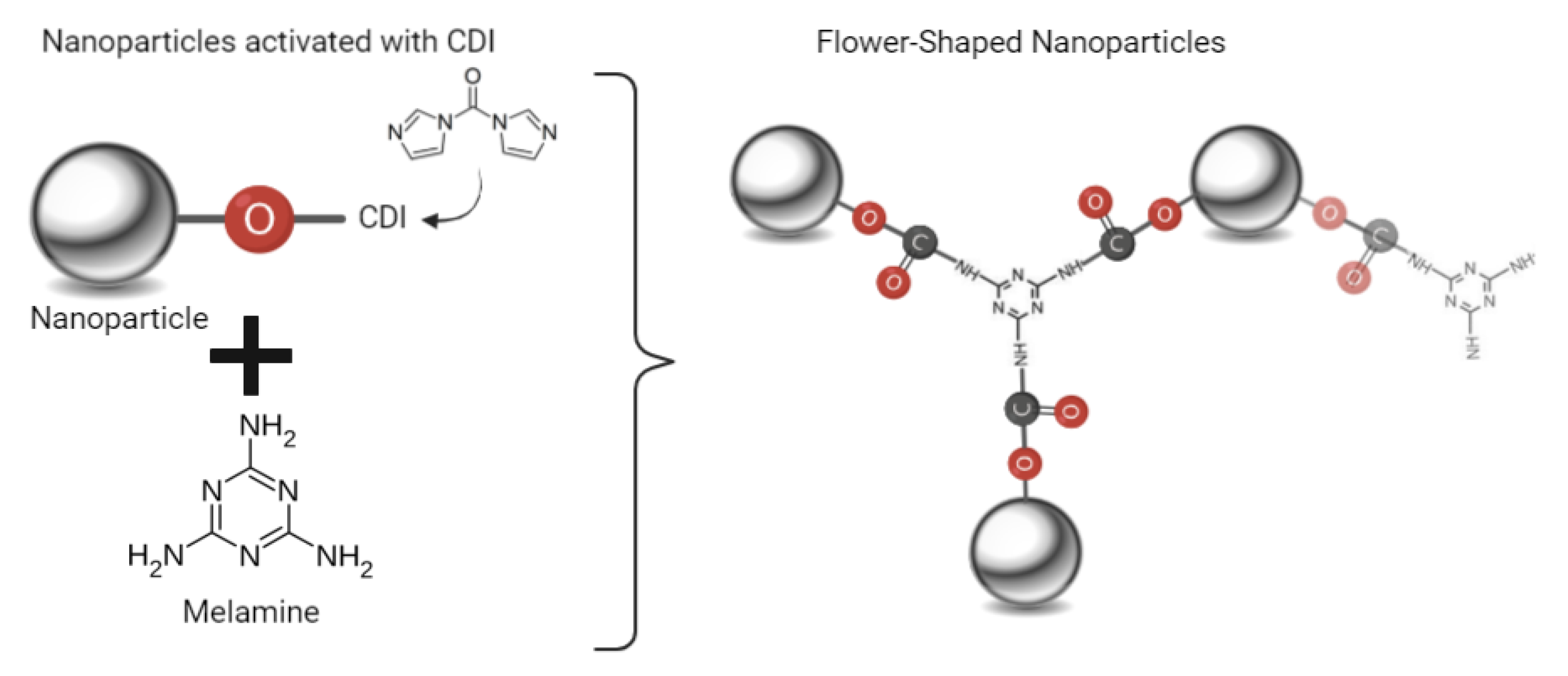 Biomedicines 10 01547 g003