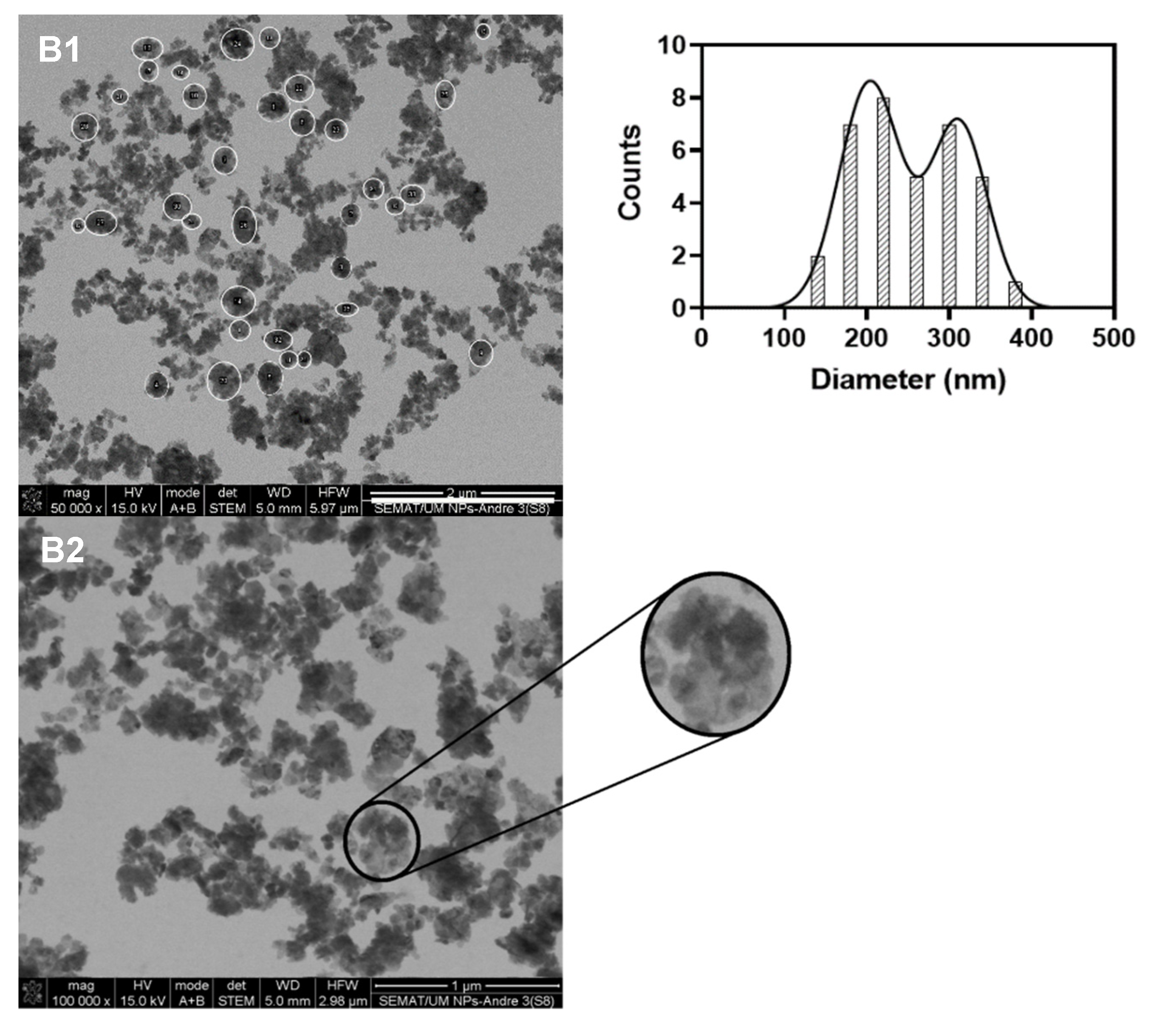 Biomedicines 10 01547 g007