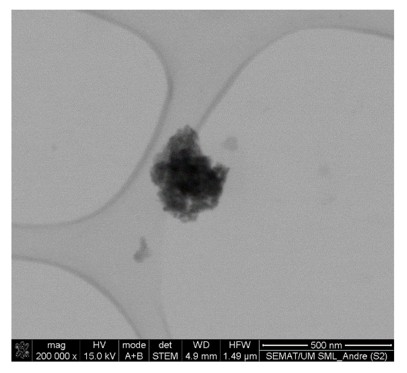 Biomedicines 10 01547 g011