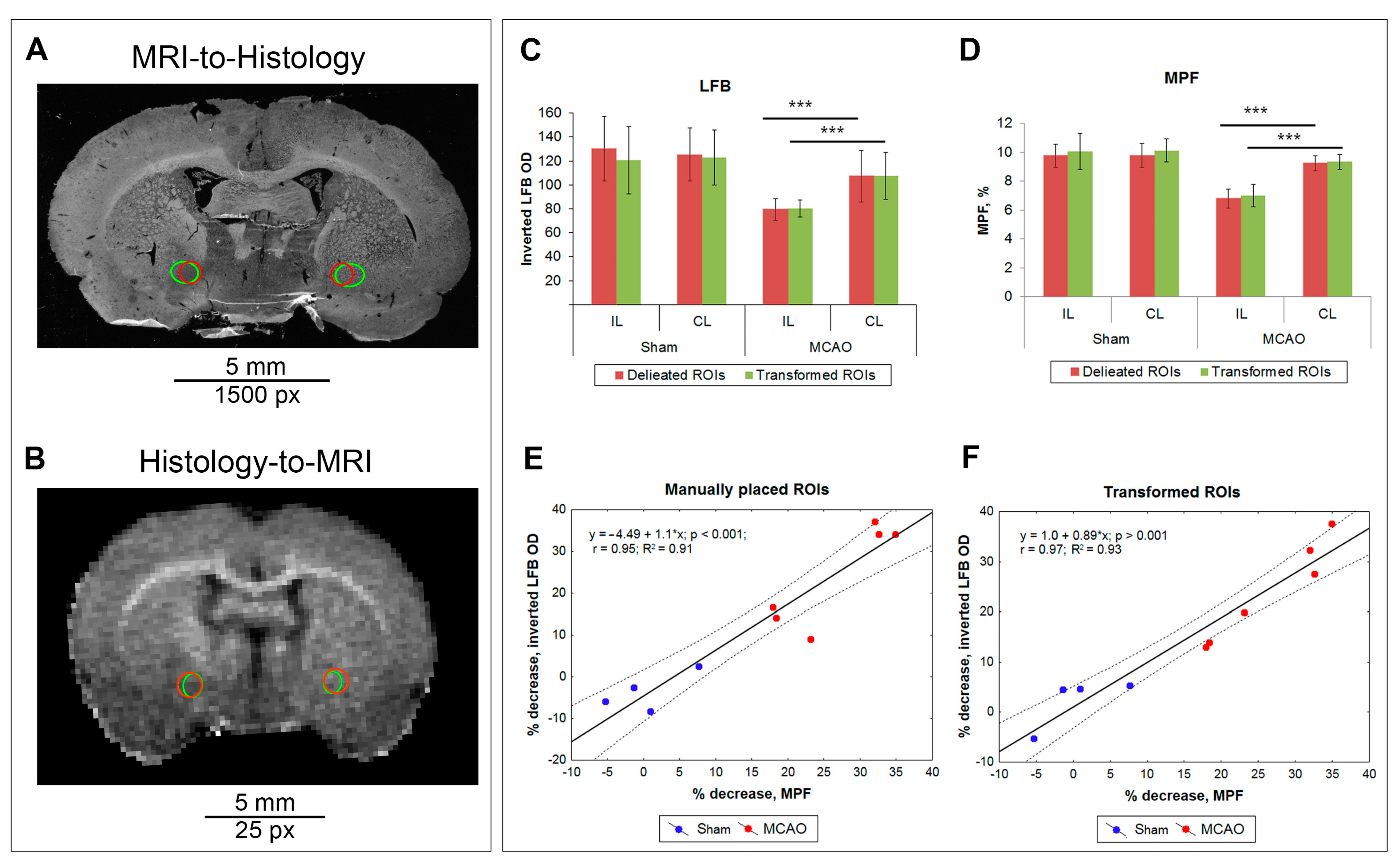 Biomedicines 10 01556 g006
