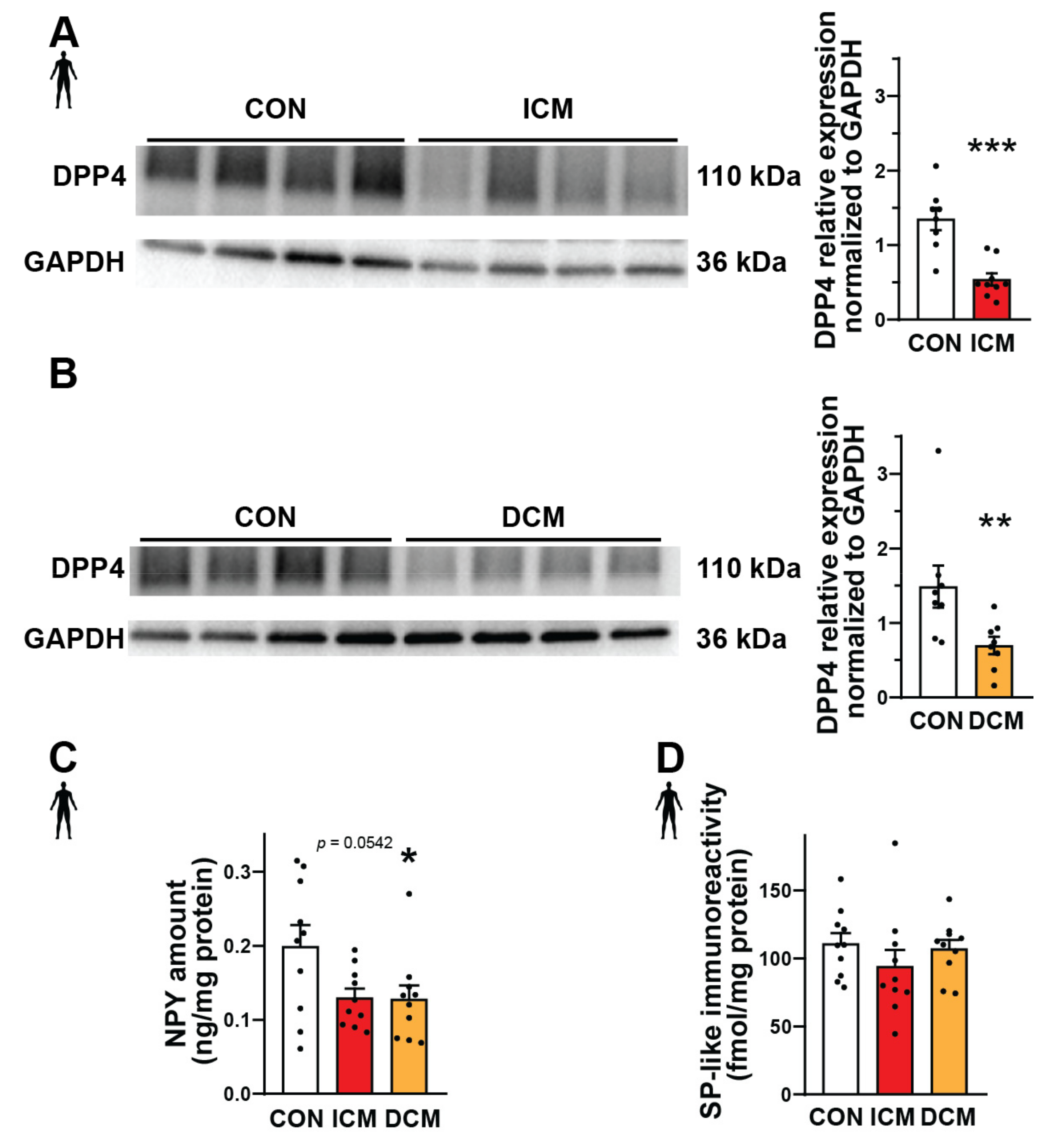 Biomedicines 10 01573 g001