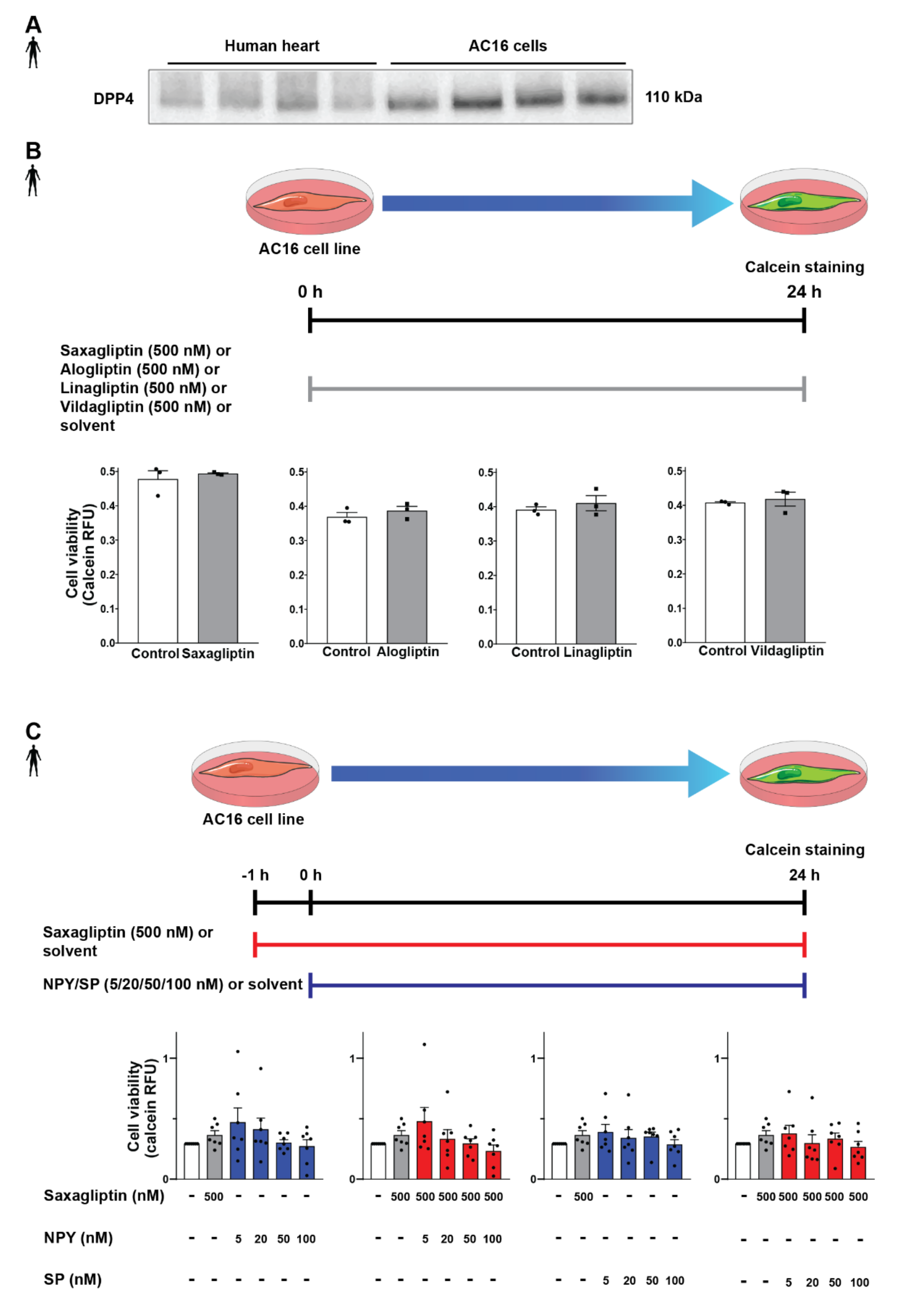 Biomedicines 10 01573 g004