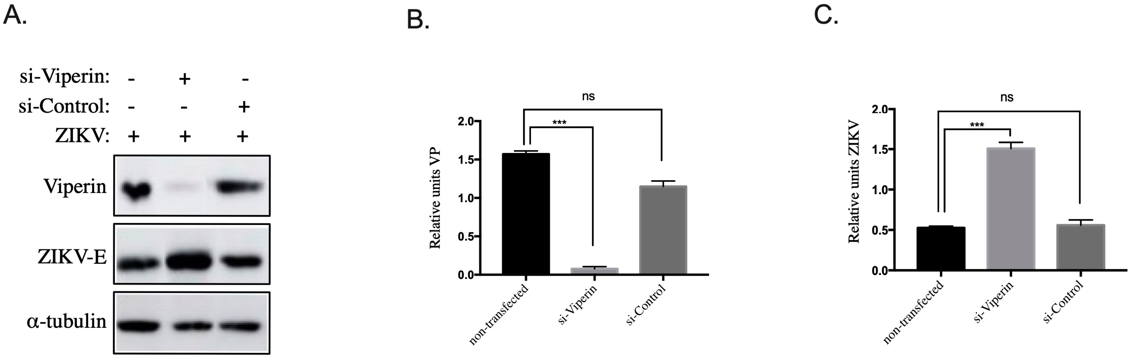 Biomedicines 10 01577 g003 Biomedicines 10 01577 g003