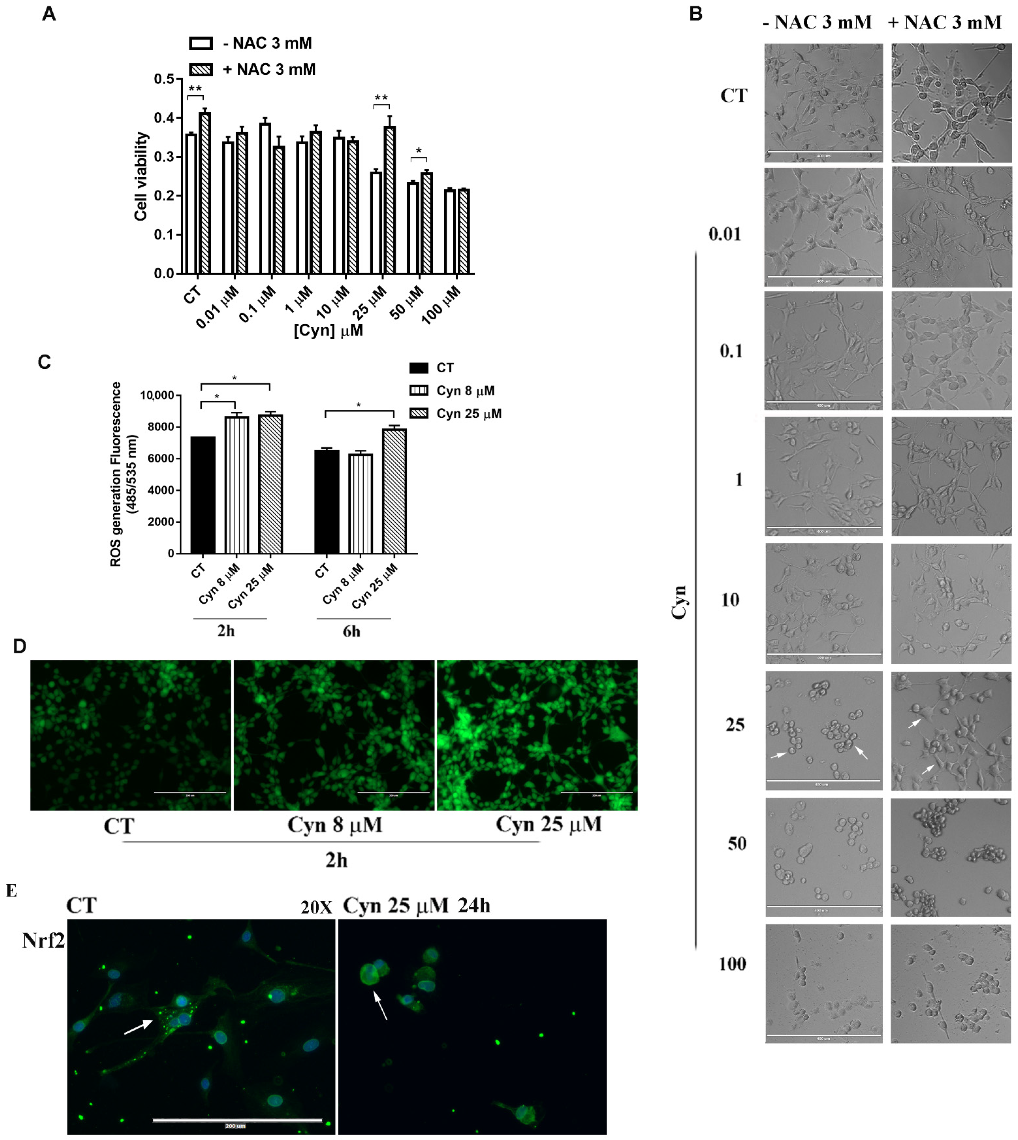Biomedicines 10 01583 g002