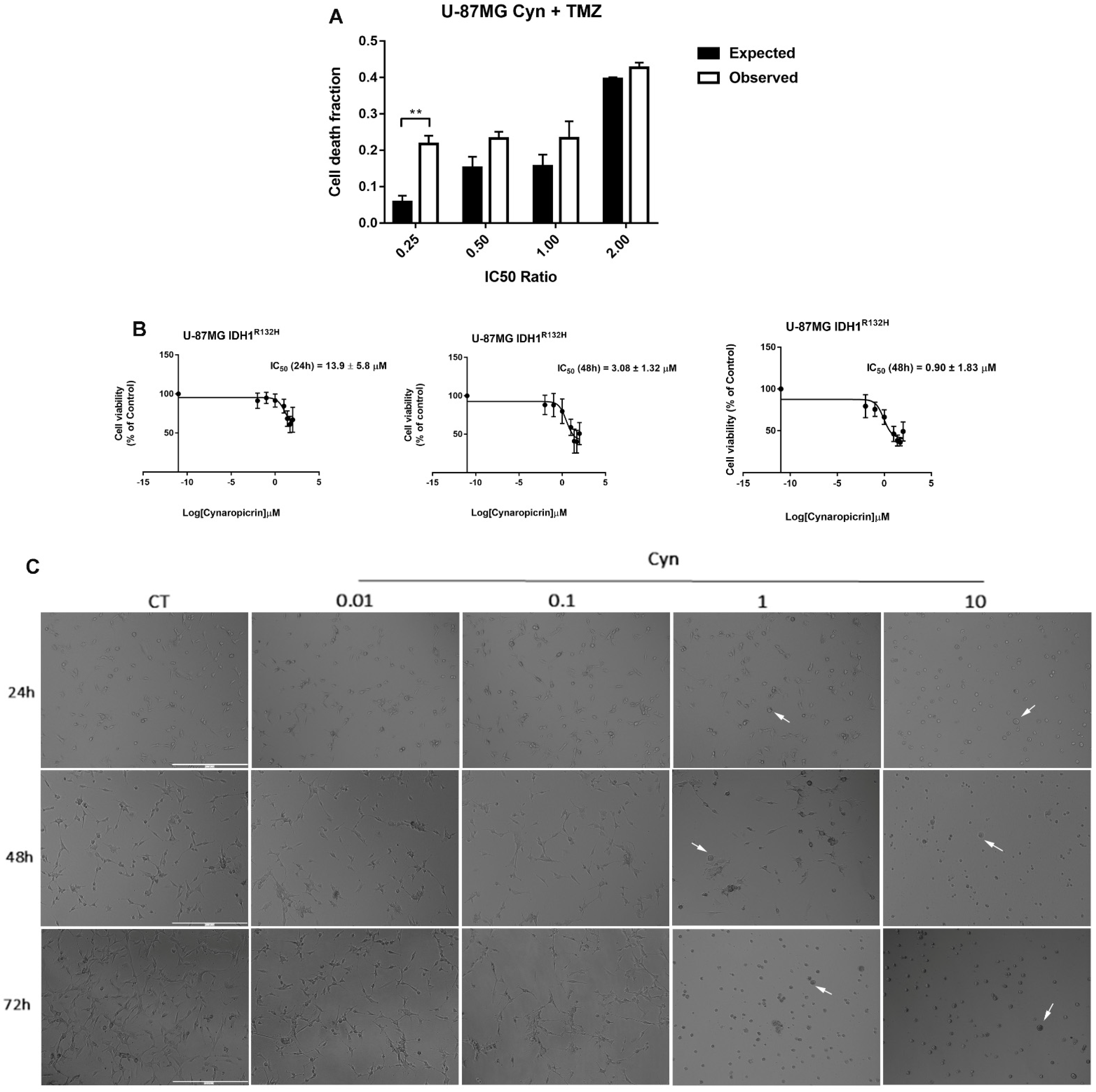 Biomedicines 10 01583 g007