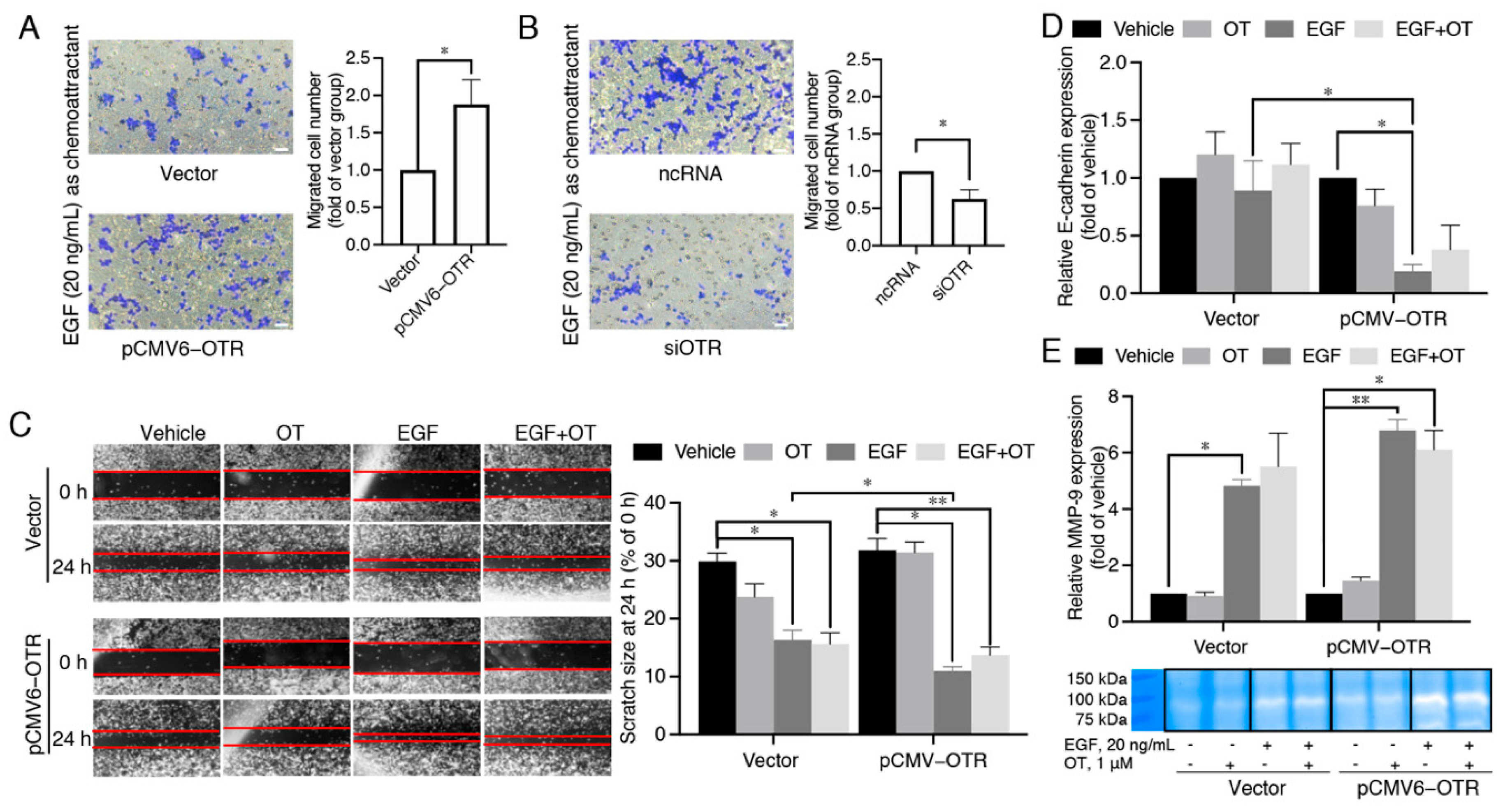 Biomedicines 10 01595 g004 Biomedicines 10 01595 g004