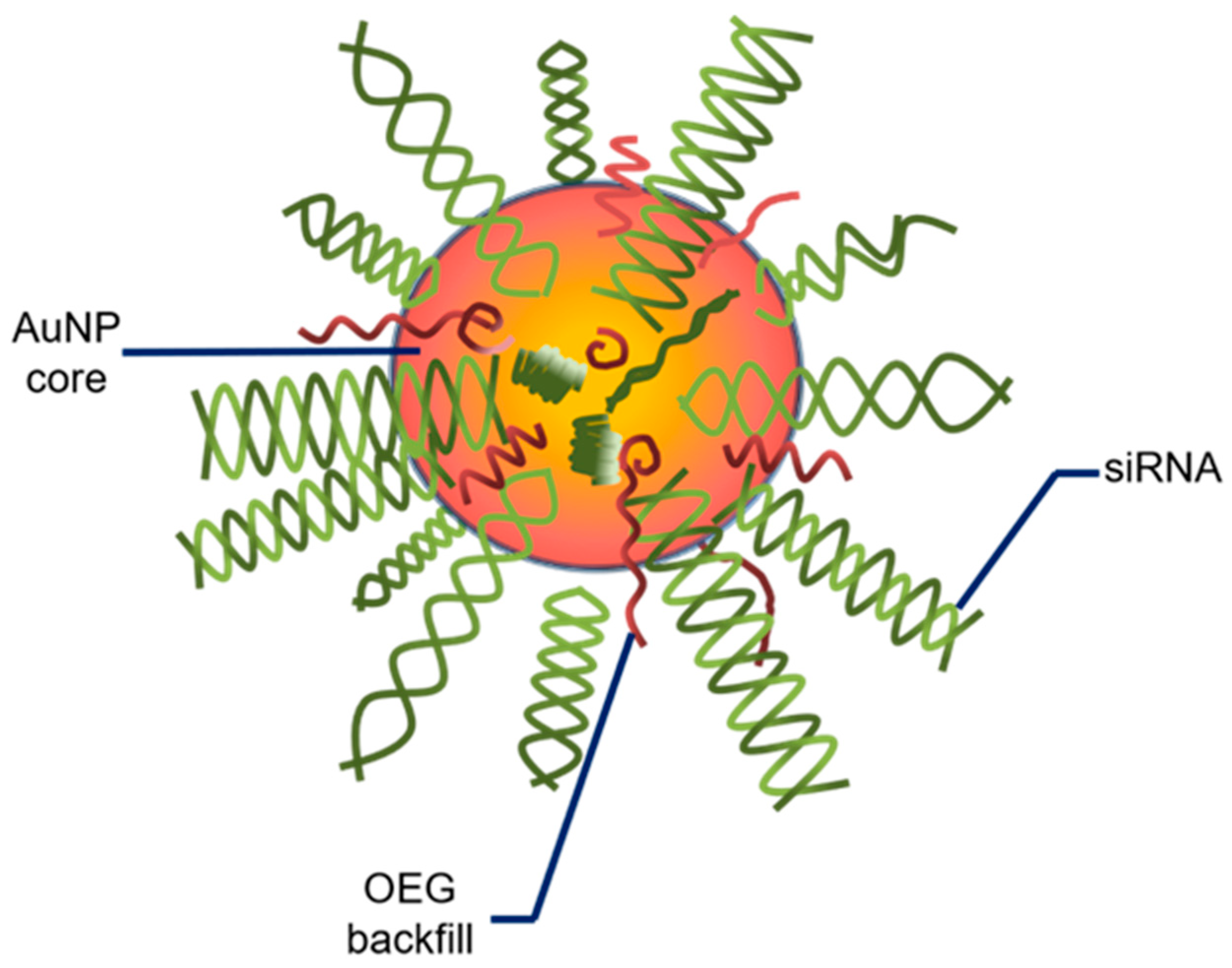Biomedicines 10 01598 g003