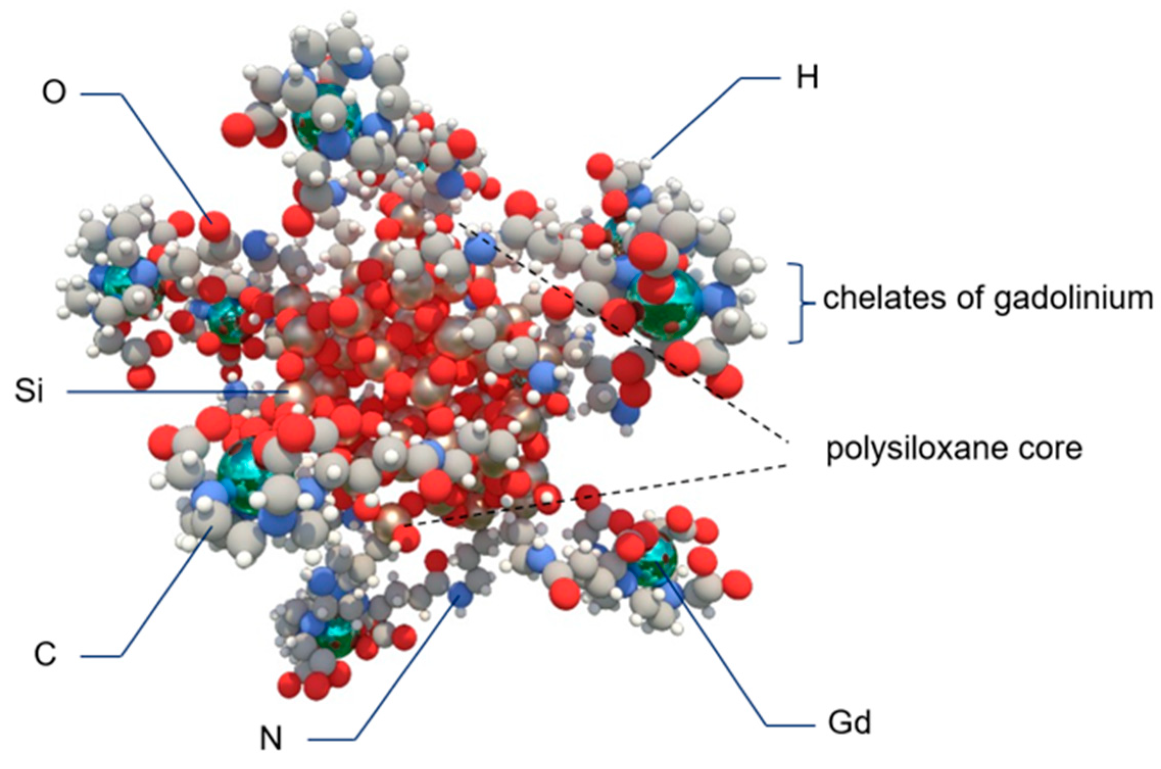 Biomedicines 10 01598 g004