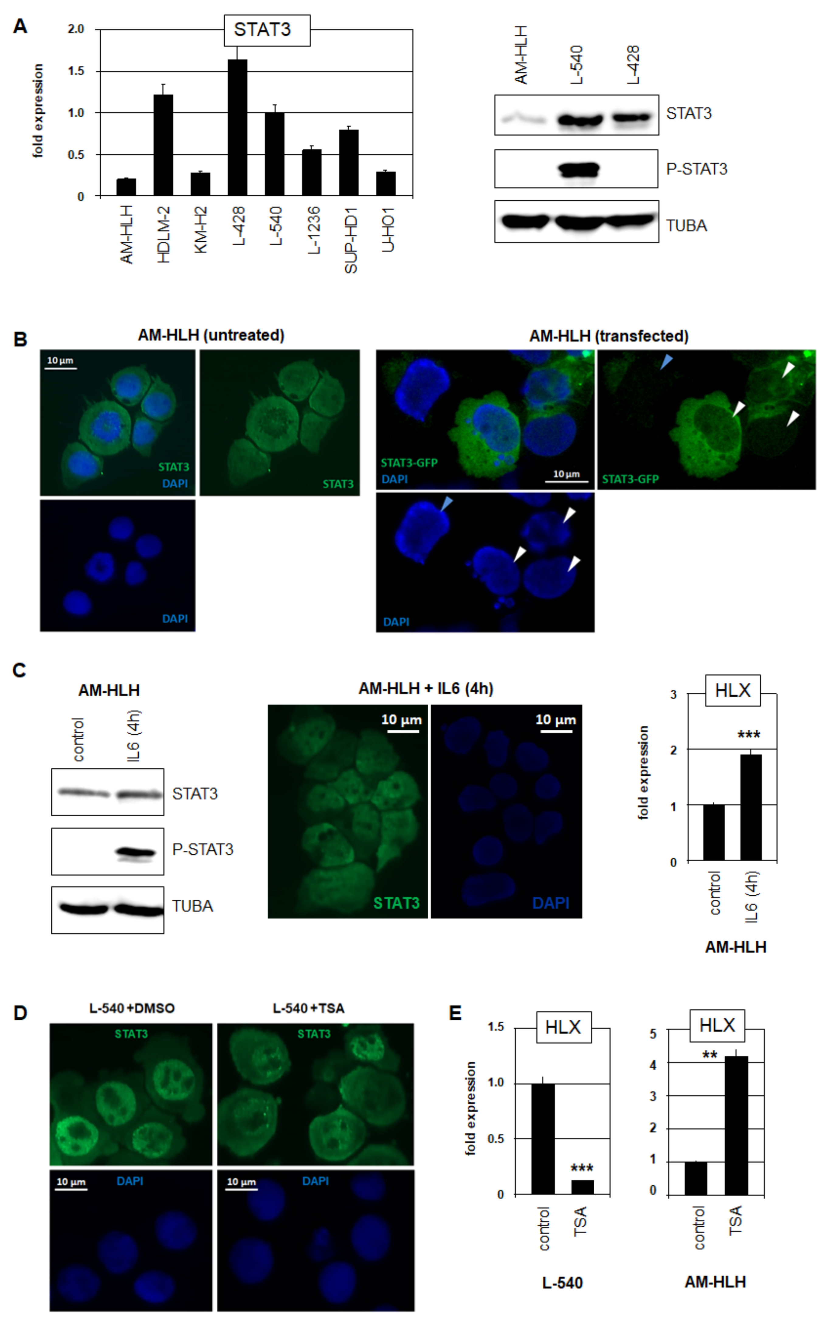 Biomedicines 10 01608 g002 Biomedicines 10 01608 g002