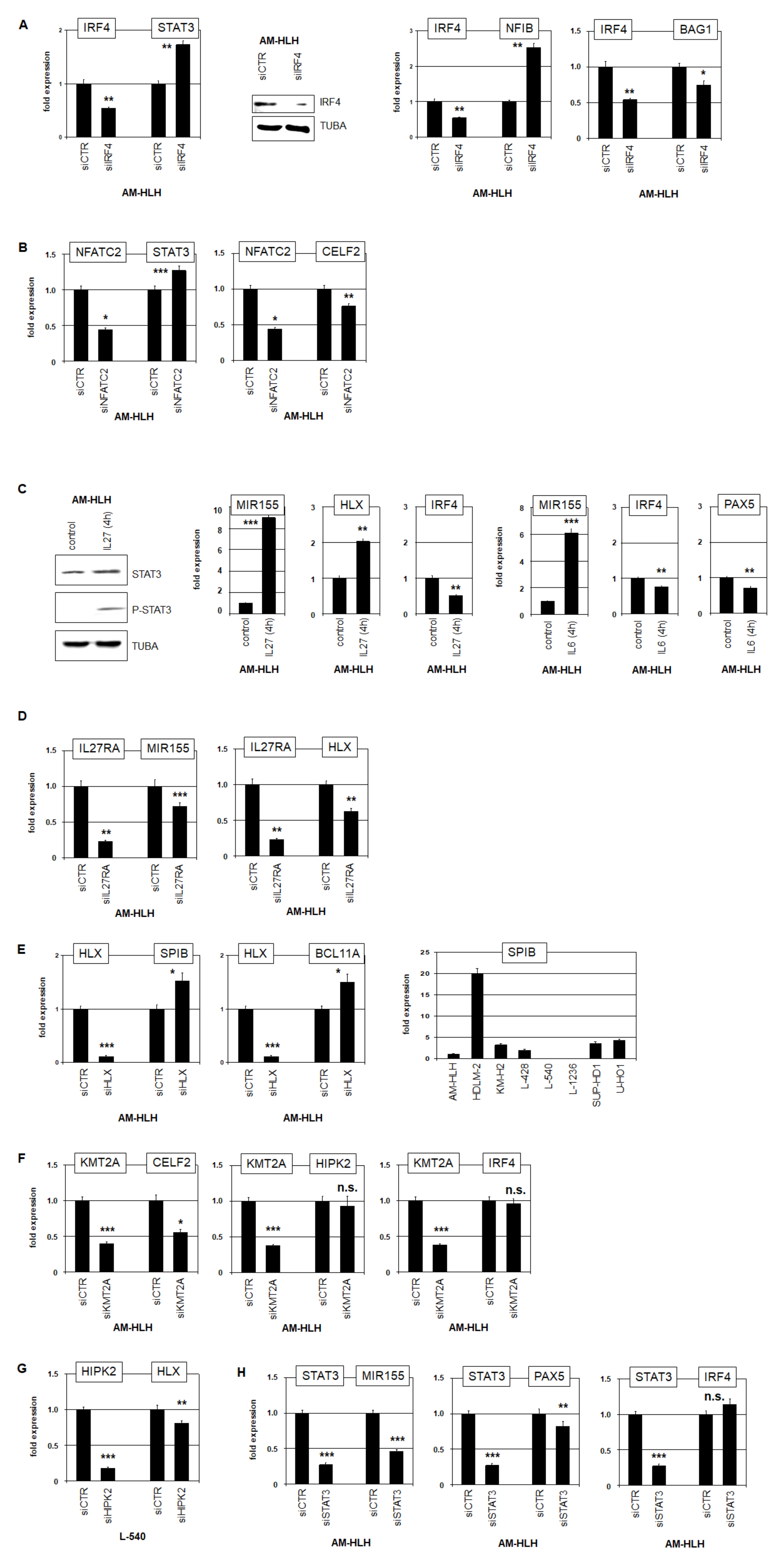 Biomedicines 10 01608 g004 Biomedicines 10 01608 g004