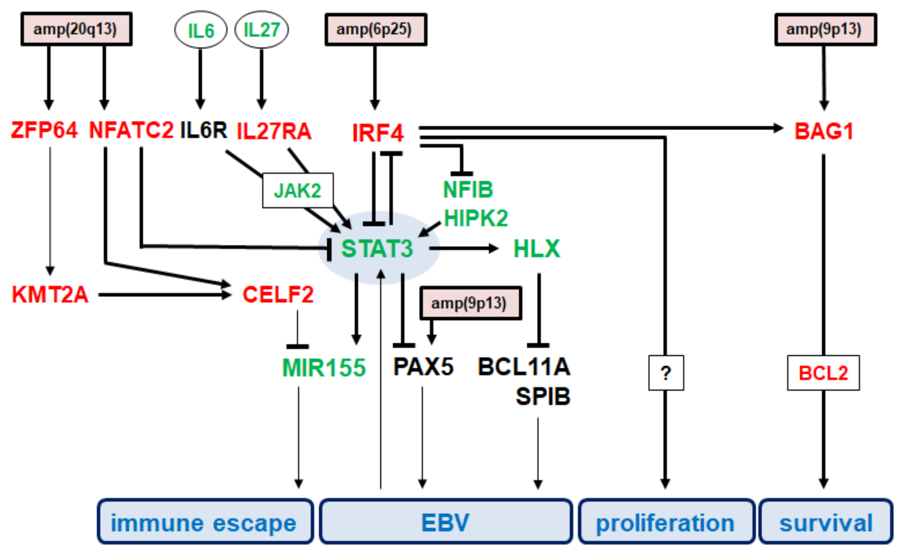 Biomedicines 10 01608 g006 Biomedicines 10 01608 g006