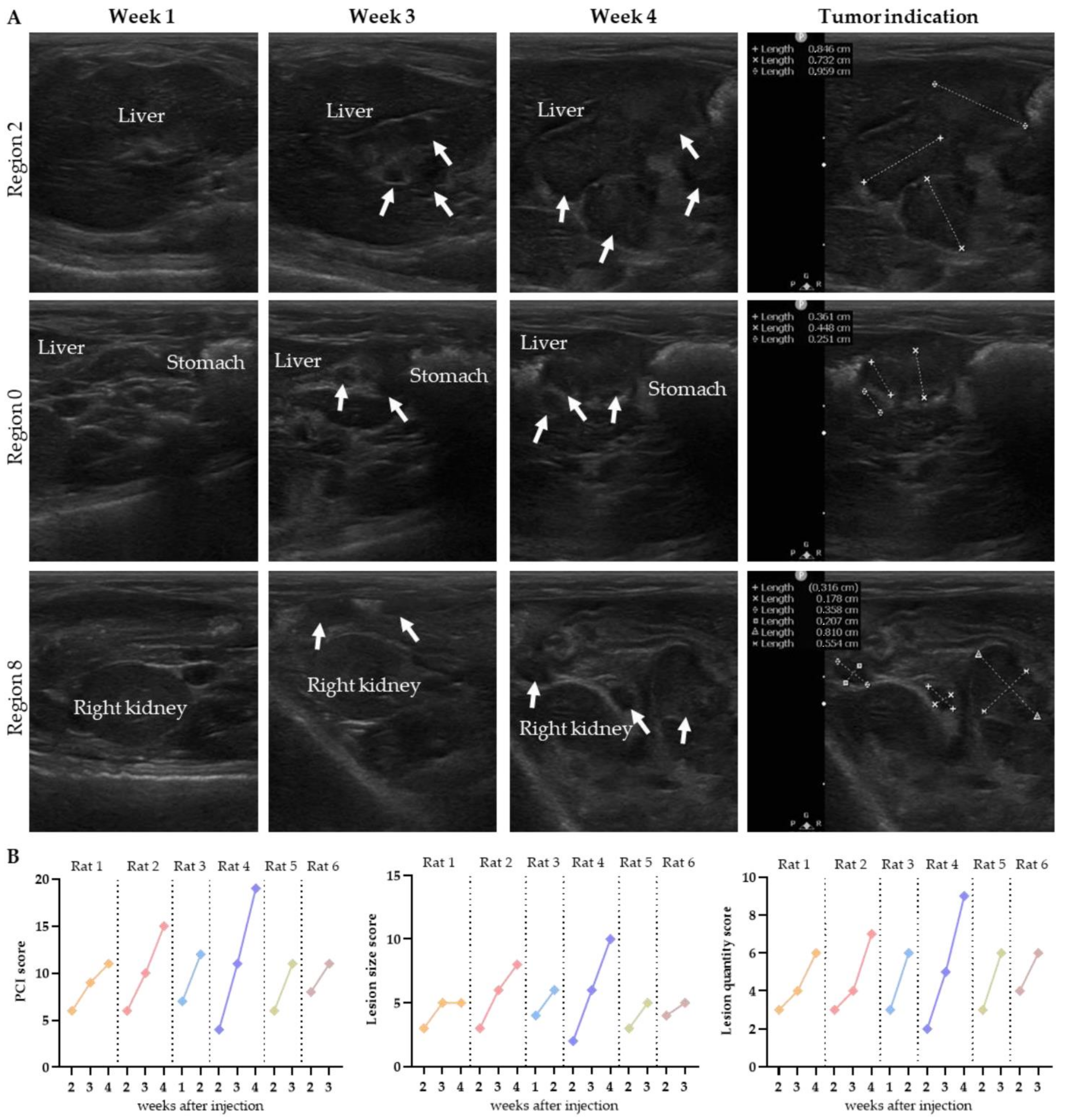 Biomedicines 10 01610 g004