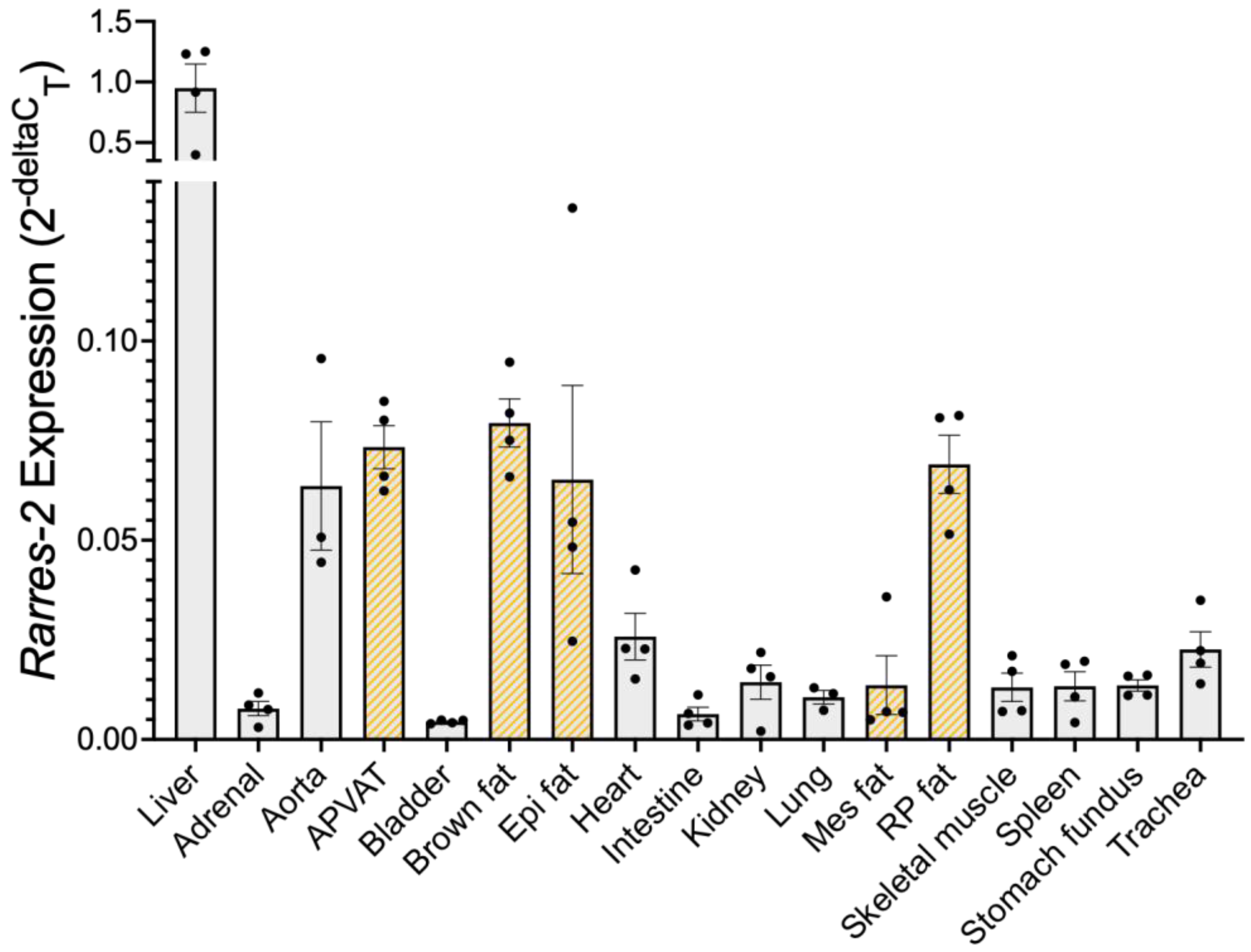 Biomedicines 10 01635 g001