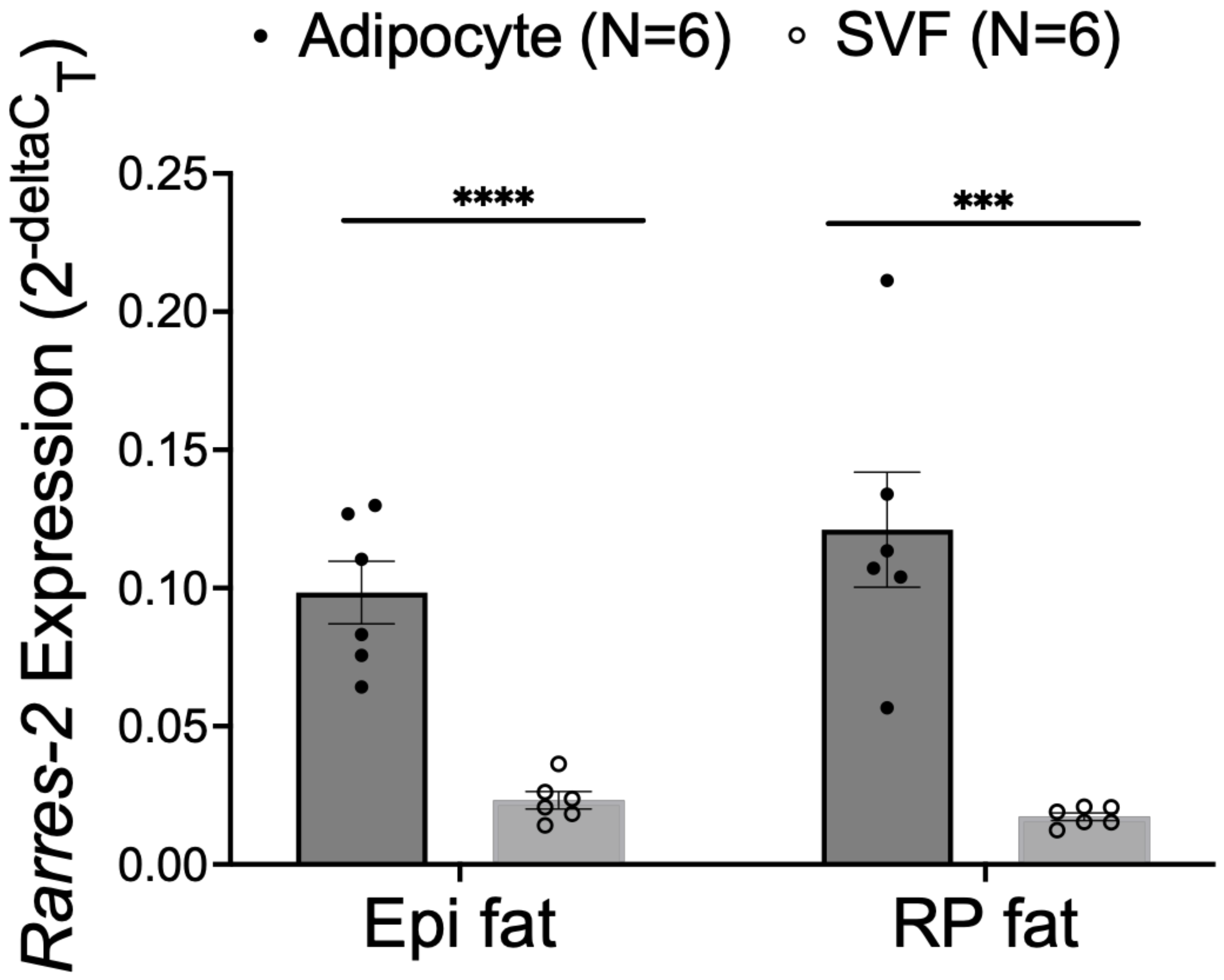 Biomedicines 10 01635 g002