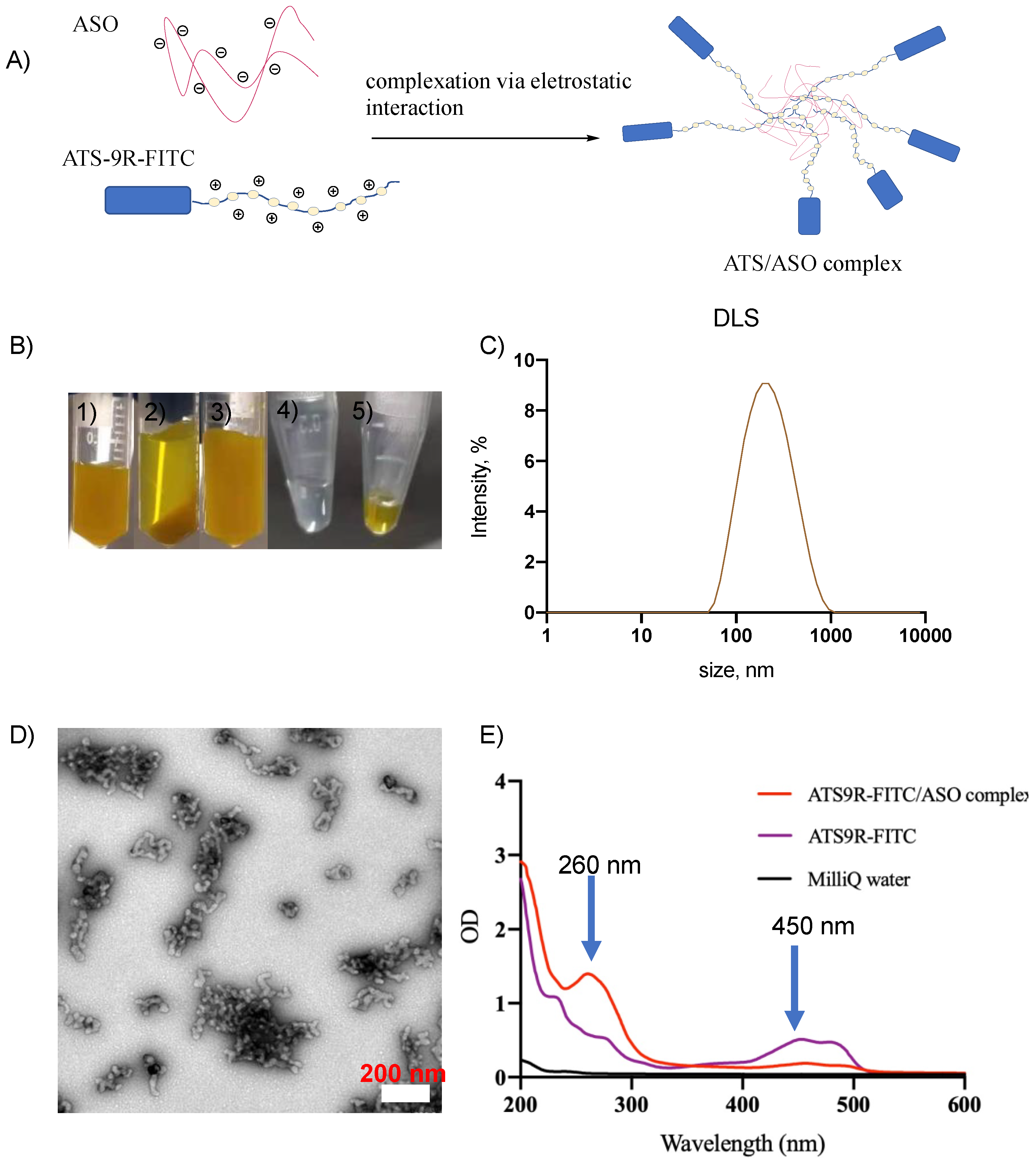 Biomedicines 10 01635 g003