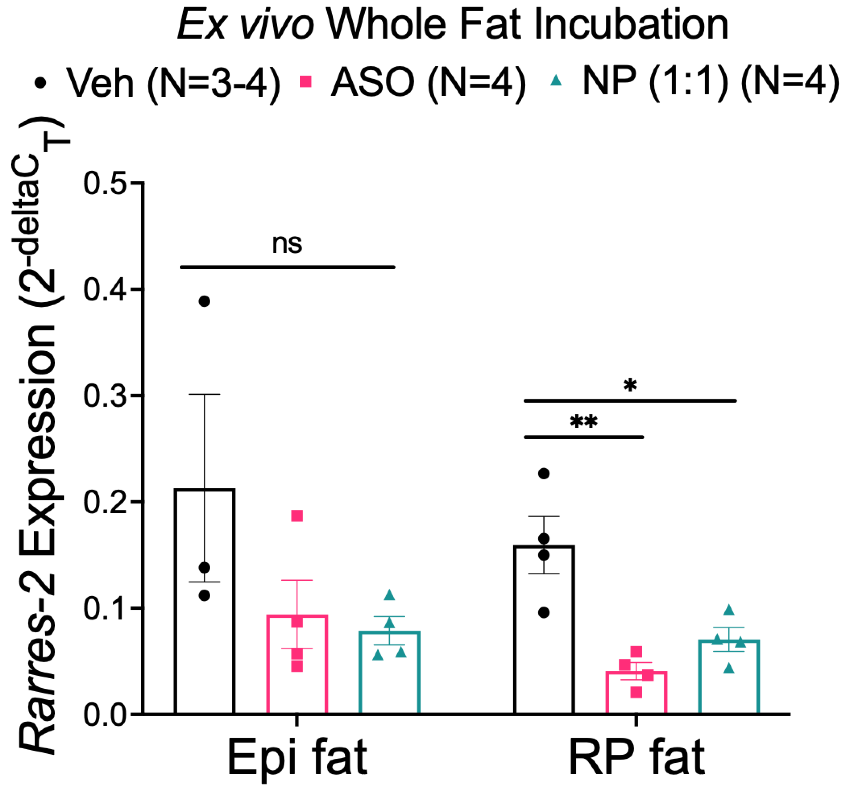 Biomedicines 10 01635 g005