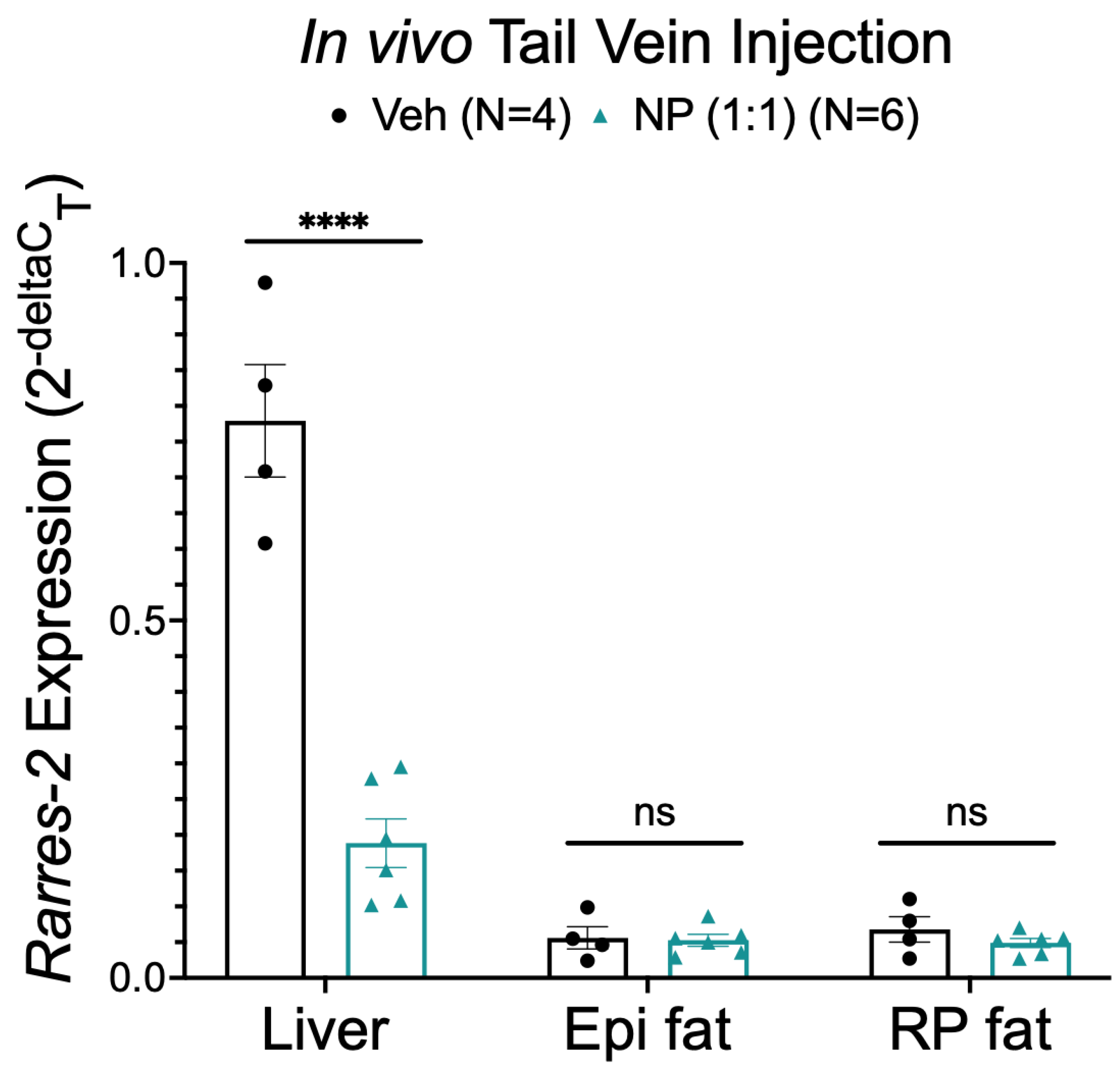 Biomedicines 10 01635 g008